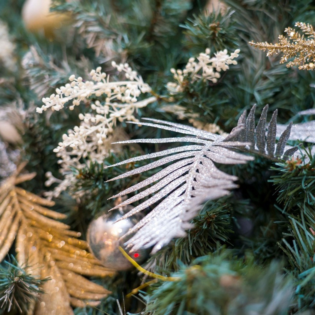 Отзывы. Фотограф в Санкт-Петербурге. Репортажная и все съёмки для бизнеса
