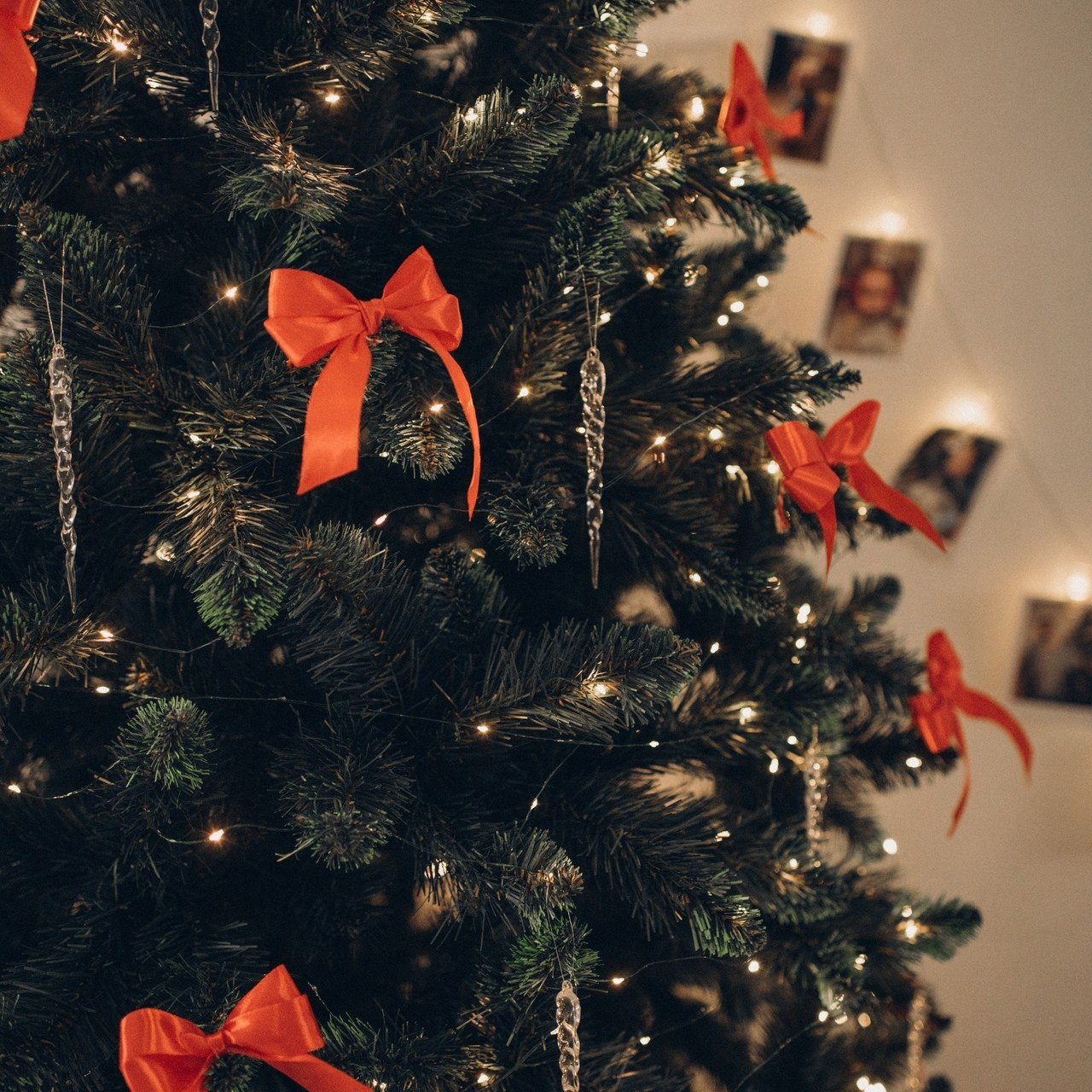 Отзывы. Фотограф Алиса Чечина. Калуга. Товарково