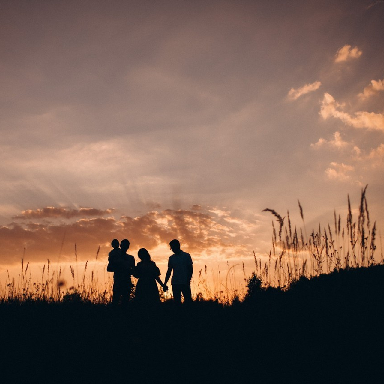 Отзывы. Фотограф Алиса Чечина. Калуга. Товарково