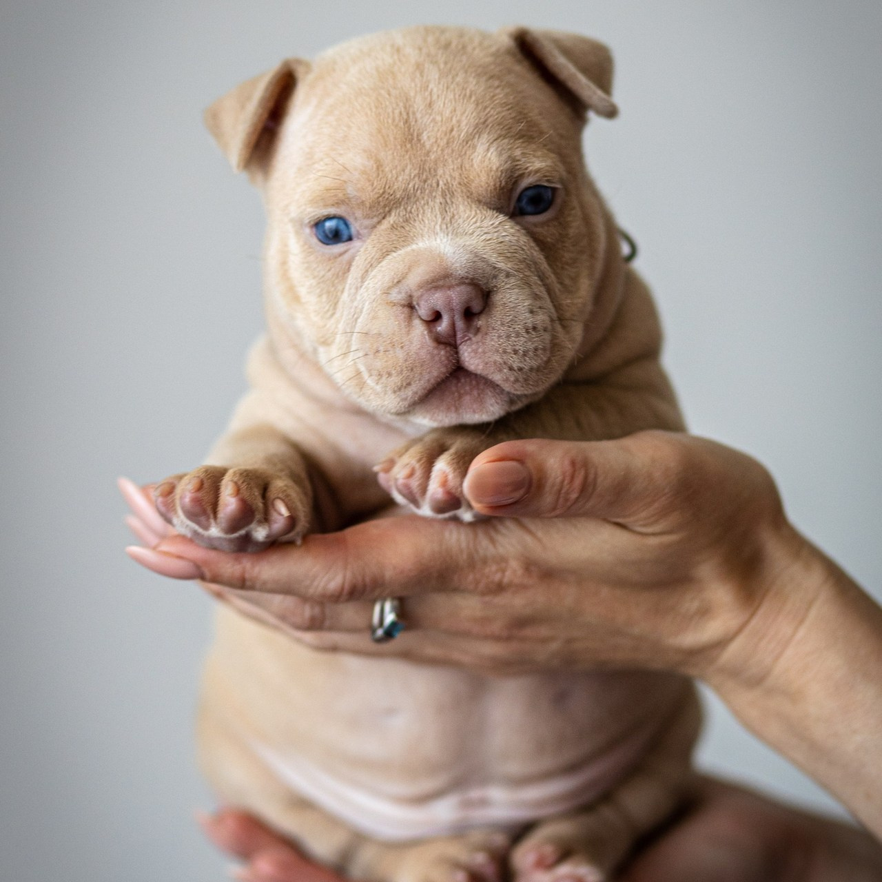 Отзывы. Фотограф в Адлере и  Сочи Ирина Москалева