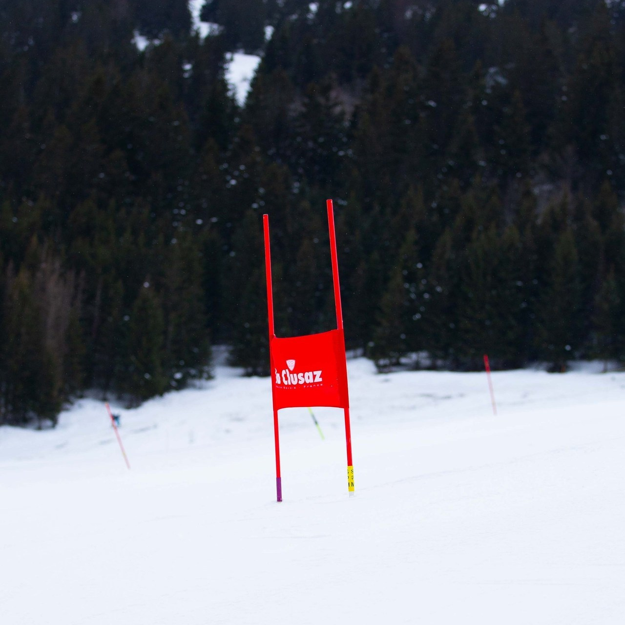 Avis. Anastasia Shapoval violoniste et photographe. Annecy — Geneve