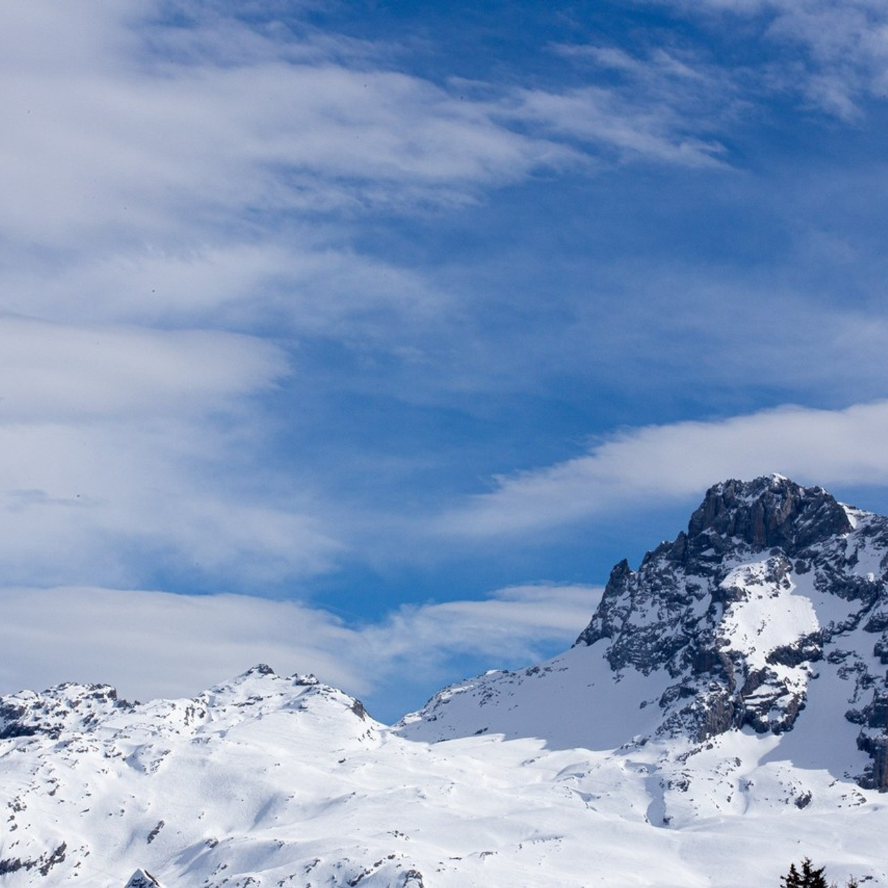 Avis. Anastasia Shapoval violoniste et photographe. Annecy — Geneve