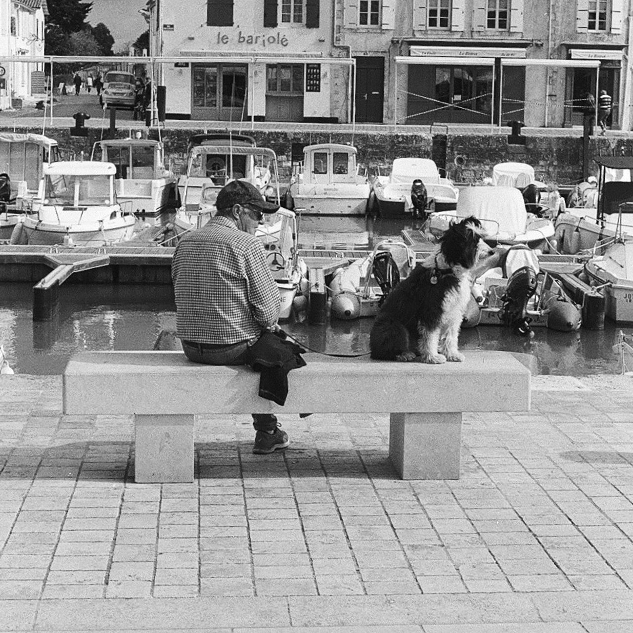 Film. Anastasia Shapoval violoniste et photographe. Annecy — Geneve