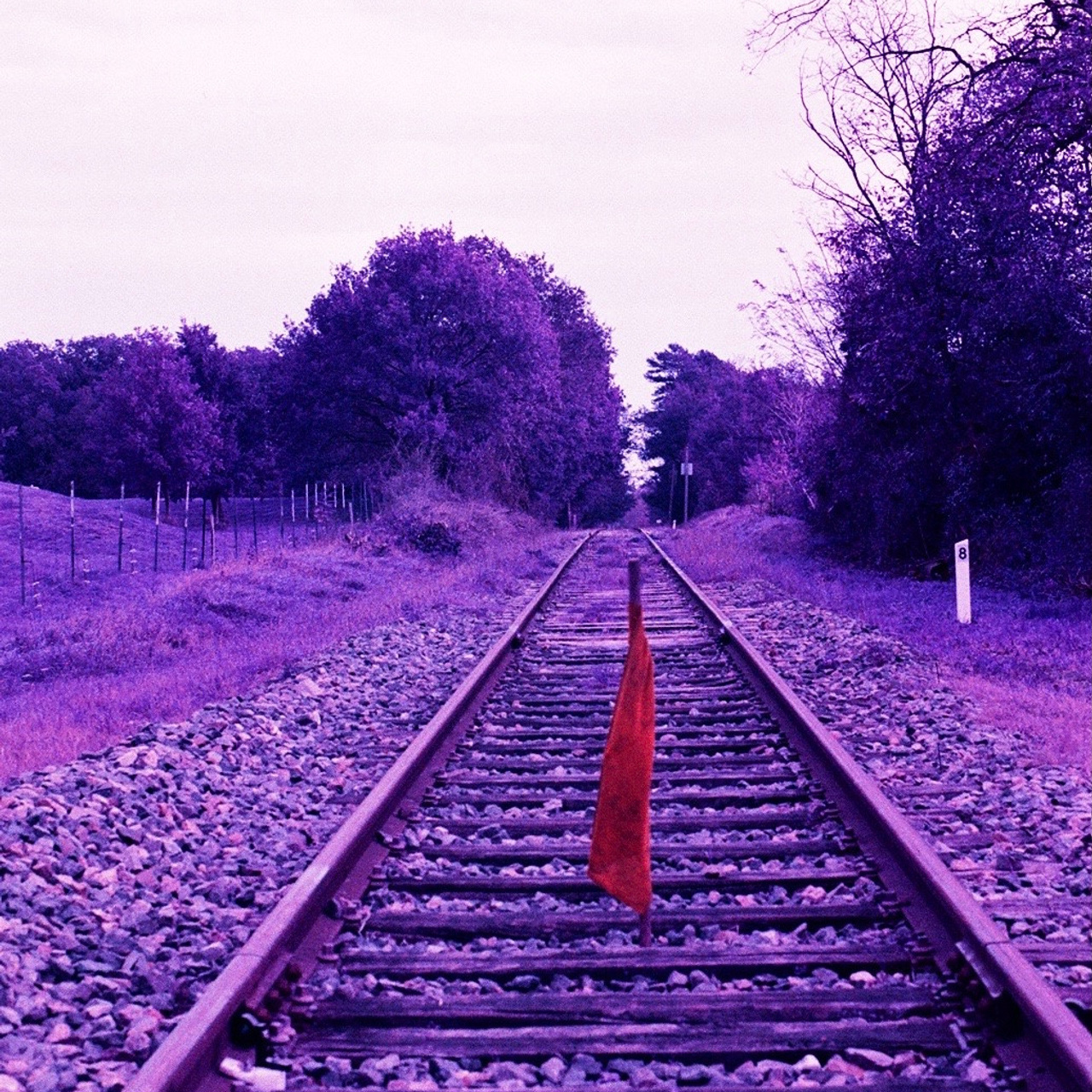 Film. Anastasia Shapoval violoniste et photographe. Annecy — Geneve