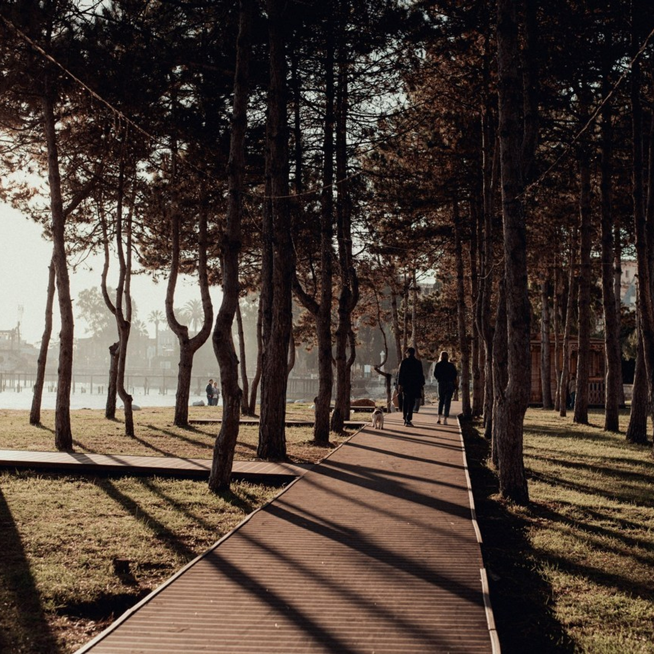 Отзывы. Семейный фотограф Екатерина Шаманаева