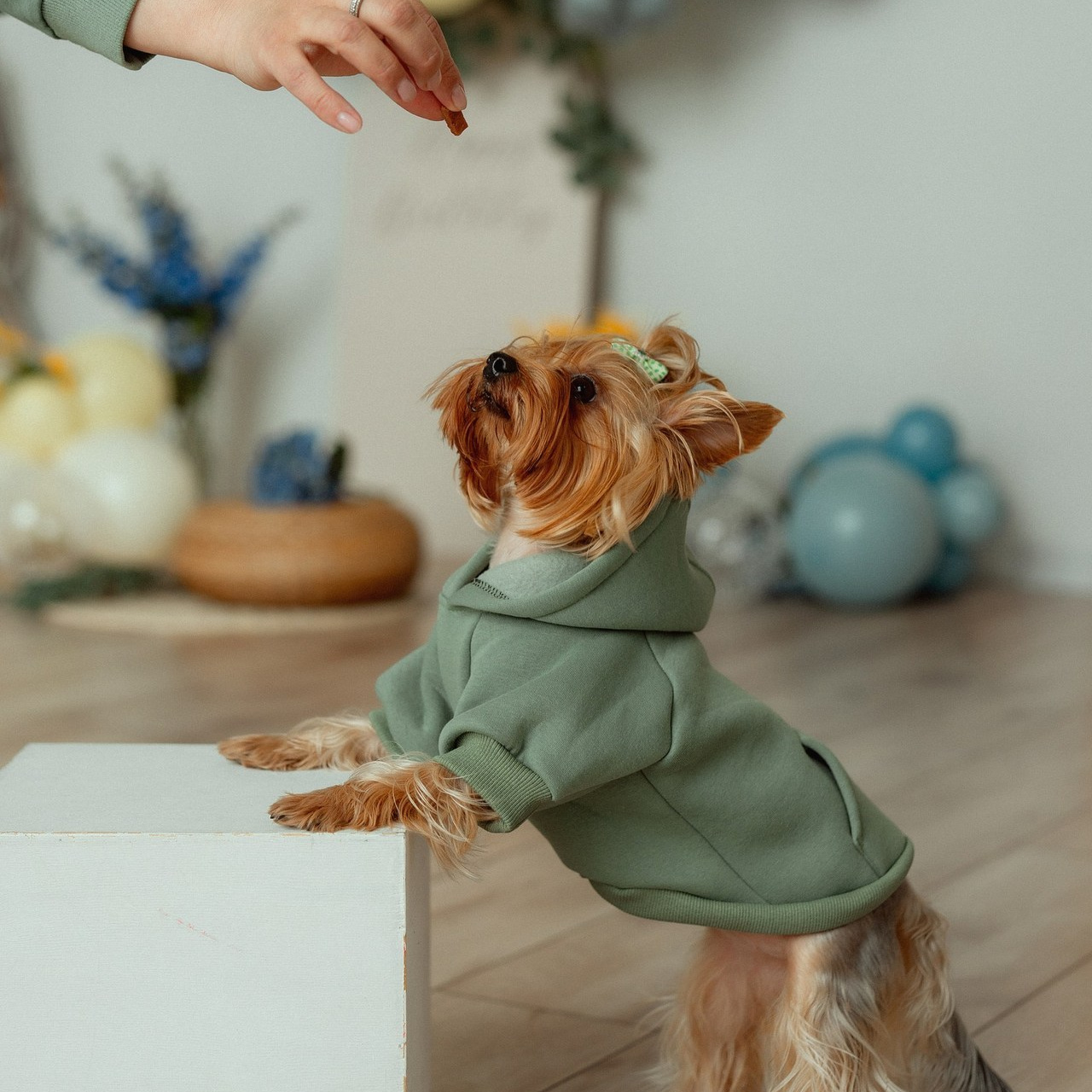 Отзывы. Детский и семейный фотограф в г. Ачинск Надежда Мелиоранская