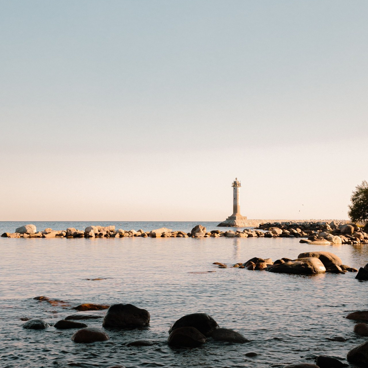 Отзывы. Фотограф Арина Демидова