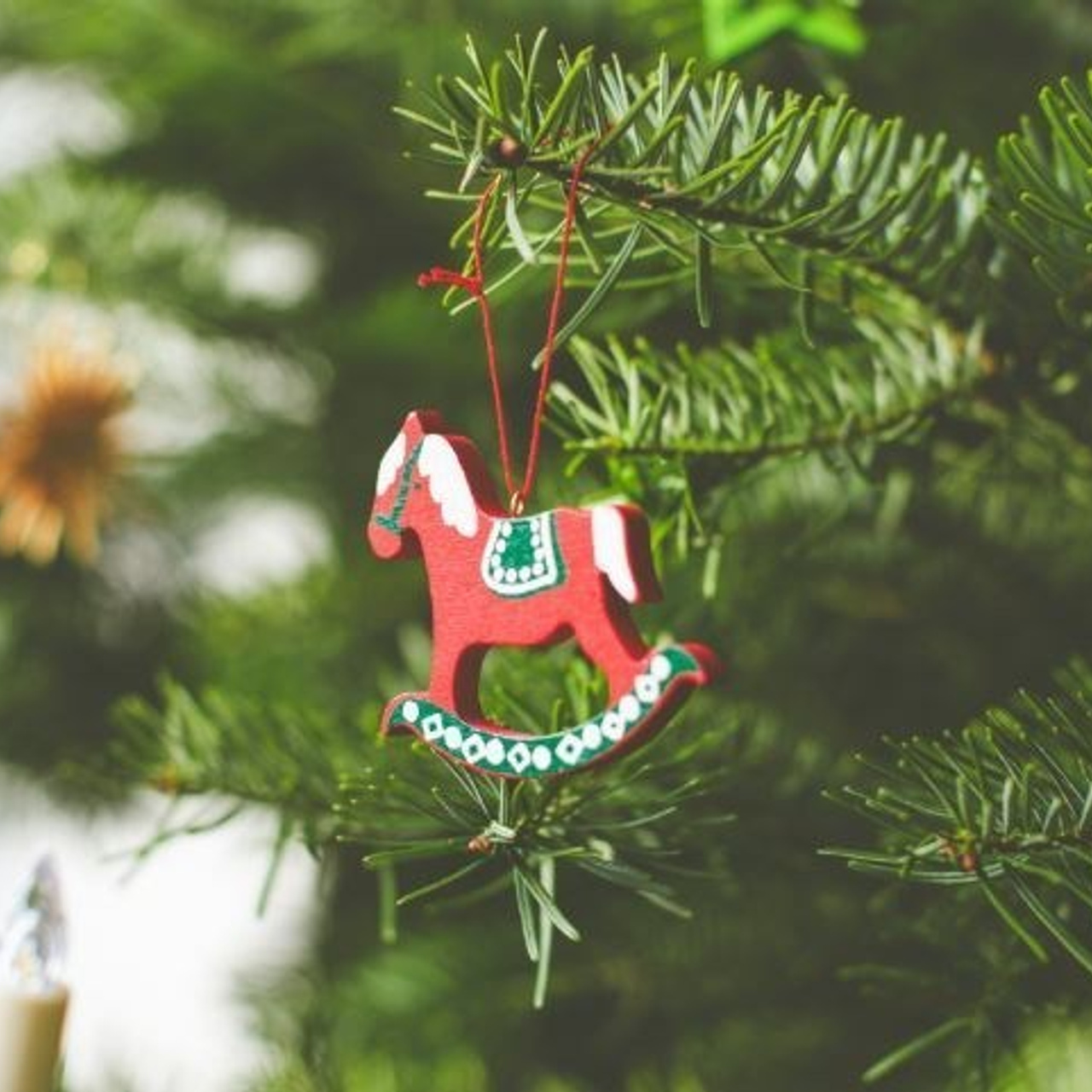 Отзывы. Школьные фотографы Сергей и Олеся Мельниковы