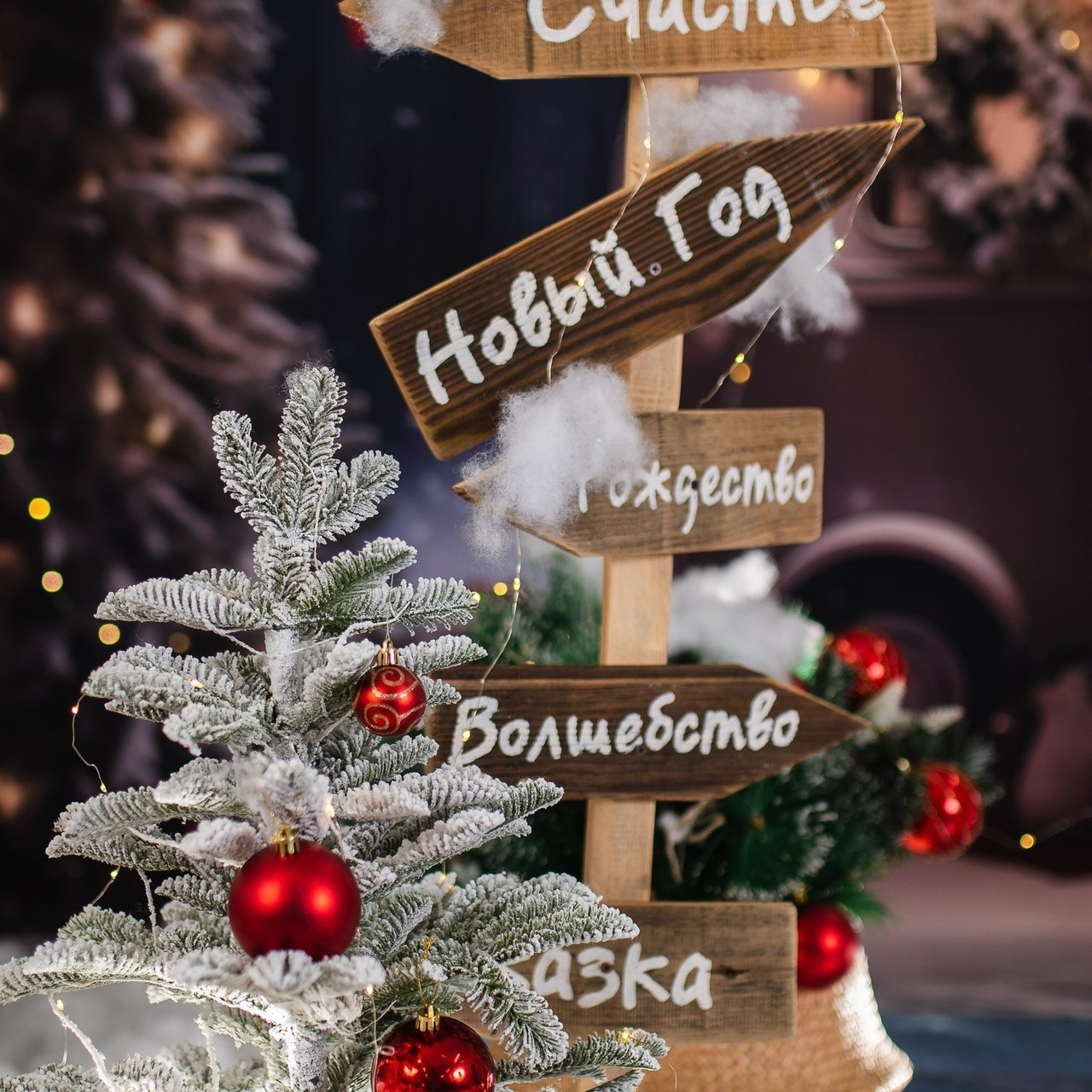 Отзывы. Школьные фотографы Сергей и Олеся Мельниковы