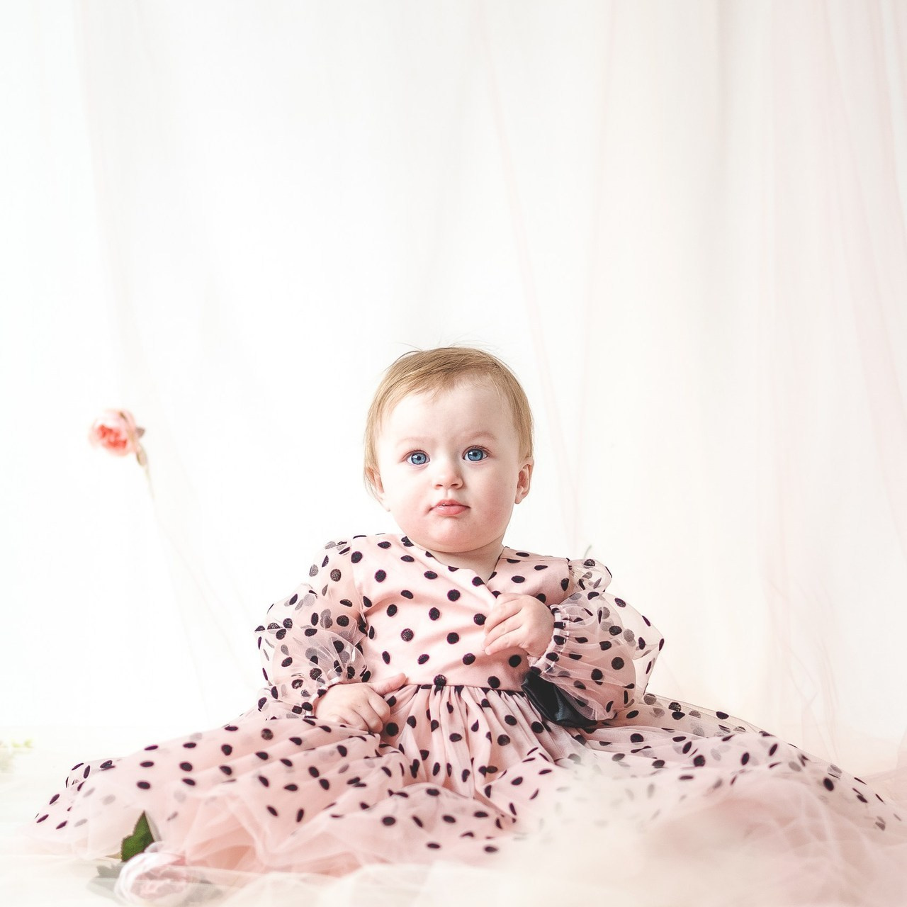 Отзывы. CLICKVIDA