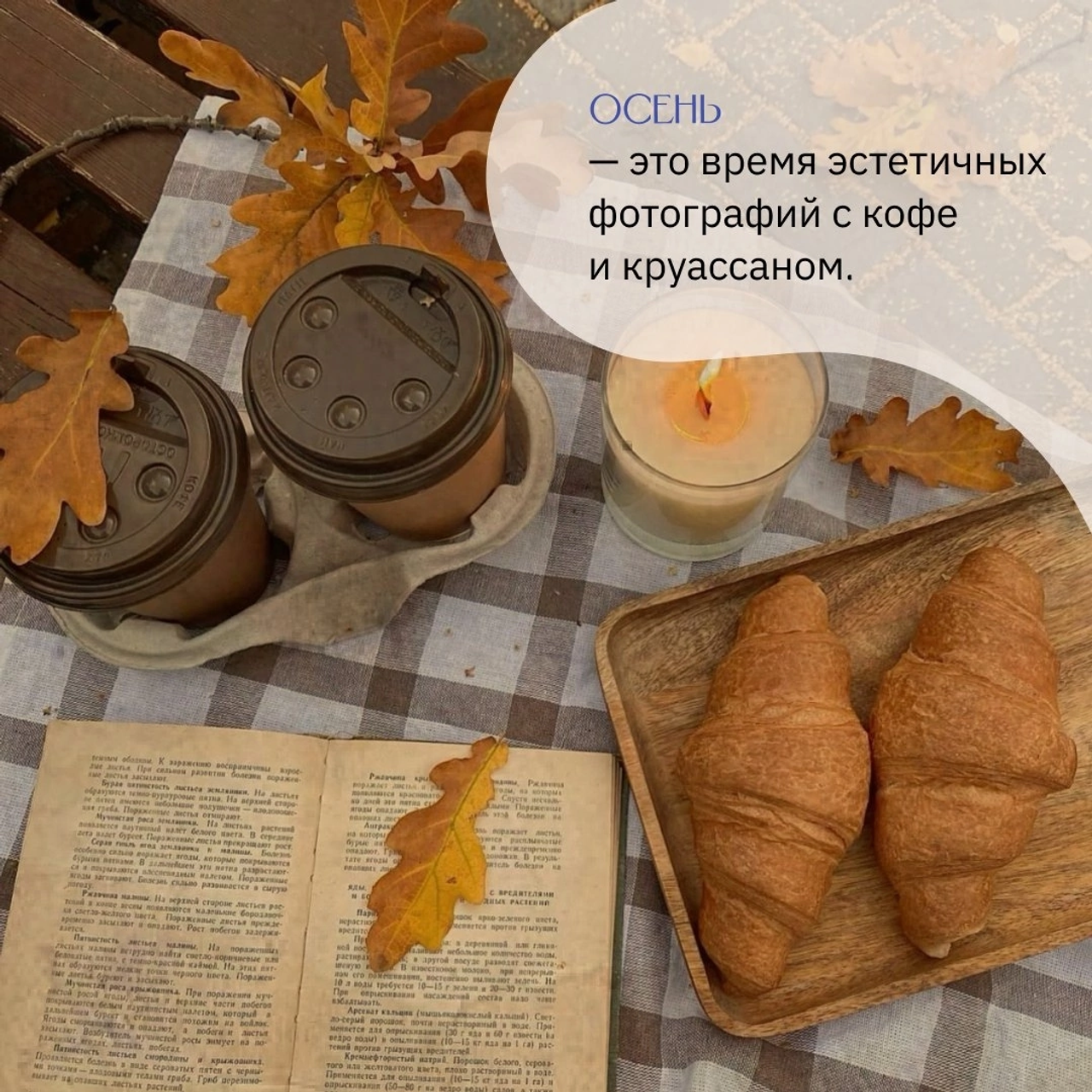 Портфолио_design. Дизайнер, студийный и репортажный фотограф в Москве Мария Кузнецова