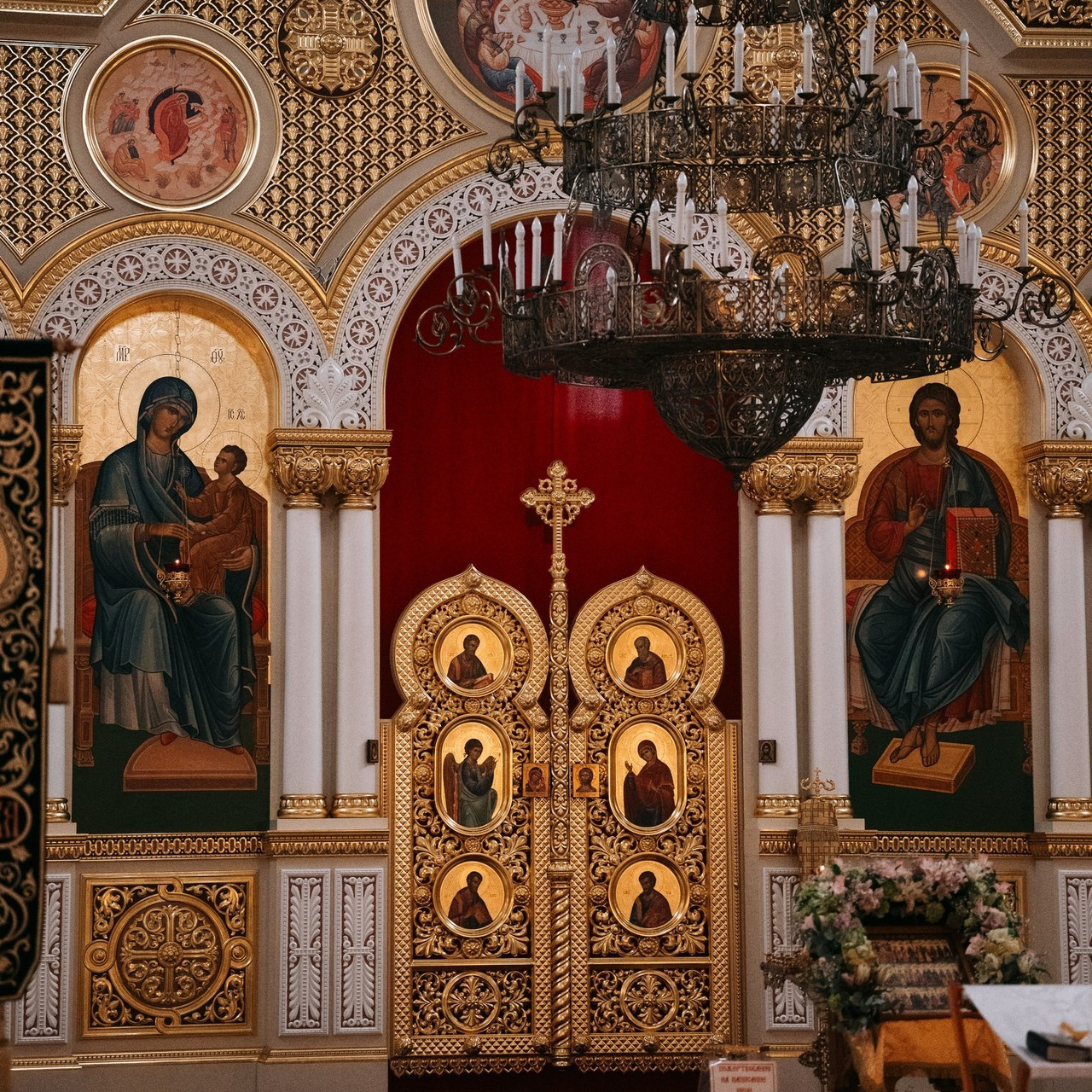 Отзывы. Фотограф — анималист Плужникова Юлия Саратов/Энгельс/Москва