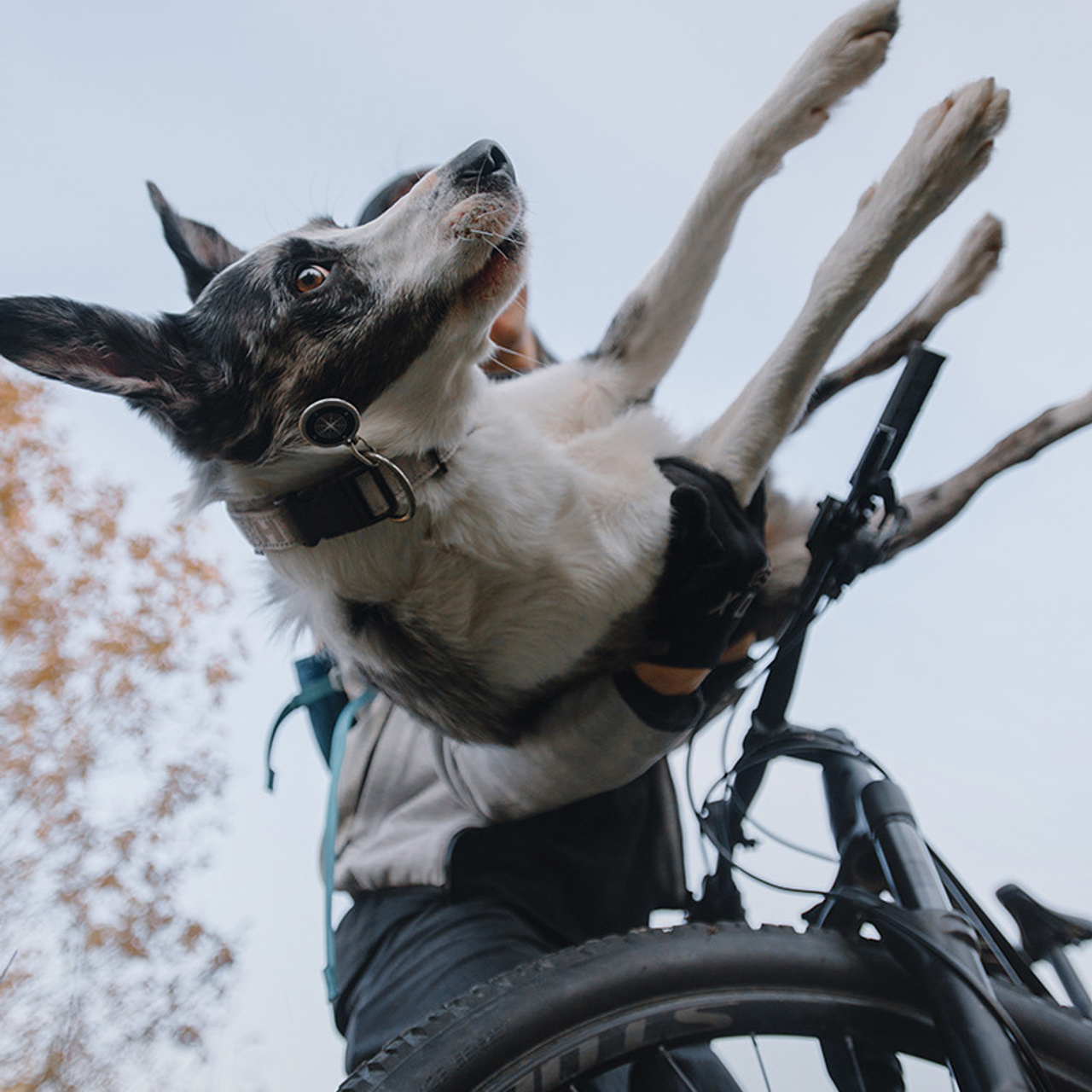 Сева и Кит. Фотограф Анна Тюрина