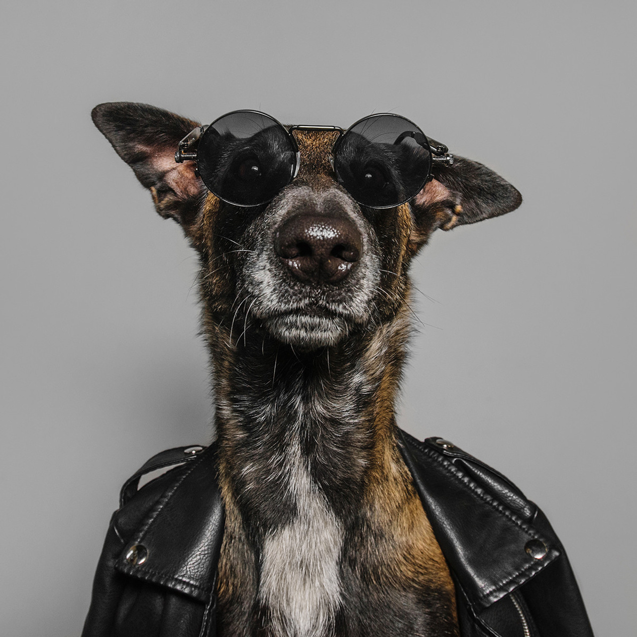 Фотодень в студии. Фотограф Анна Тюрина