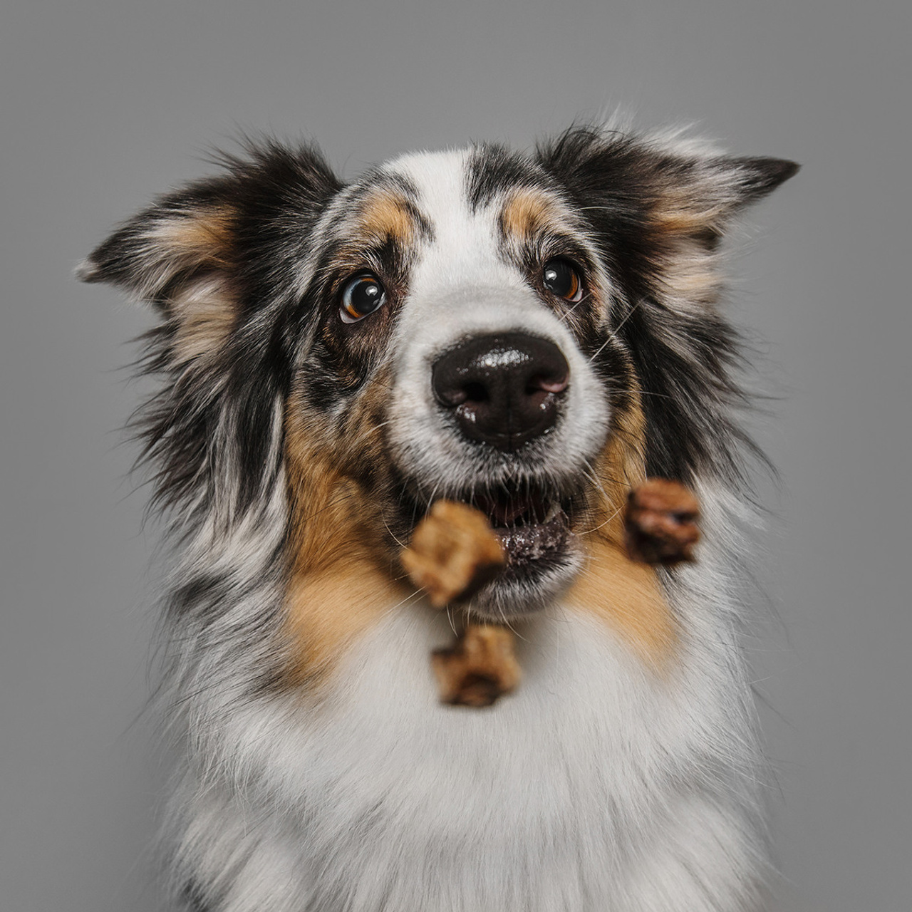 Фотодень в студии. Фотограф Анна Тюрина