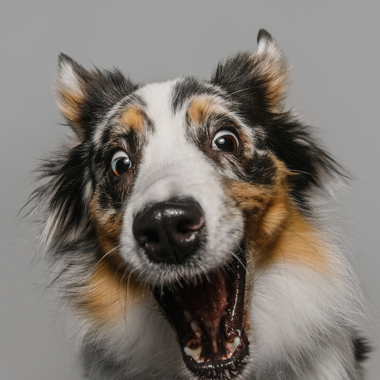 Фотодень в студии. Фотограф Анна Тюрина