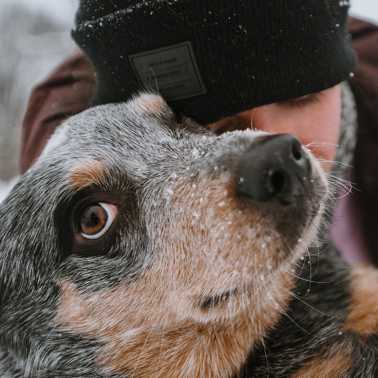 Маша и Дип пасут овец. Фотограф Анна Тюрина