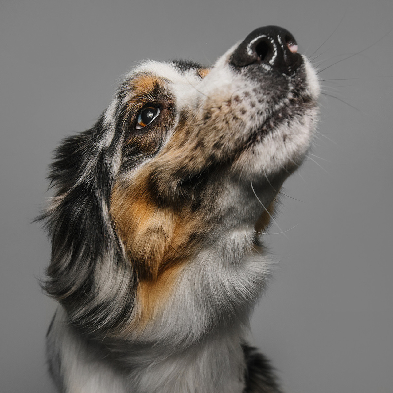 Фотодень в студии. Фотограф Анна Тюрина