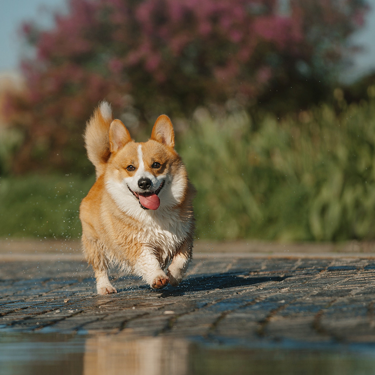 Тим, Ира и Тимур. Фотограф Анна Тюрина