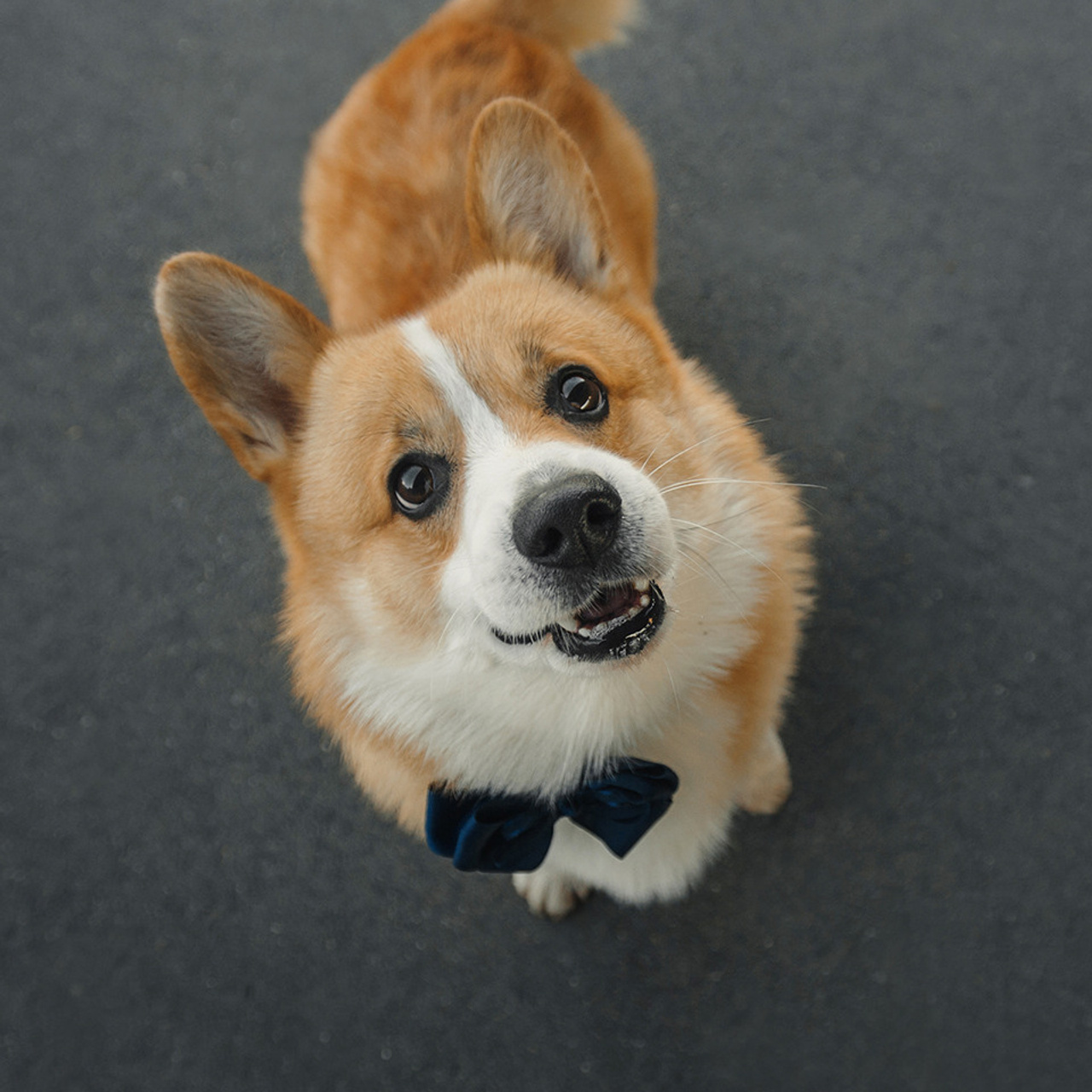 Тим, Ира и Тимур. Фотограф Анна Тюрина