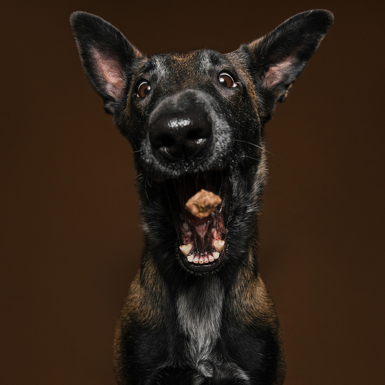 Фотодень в студии. Фотограф Анна Тюрина