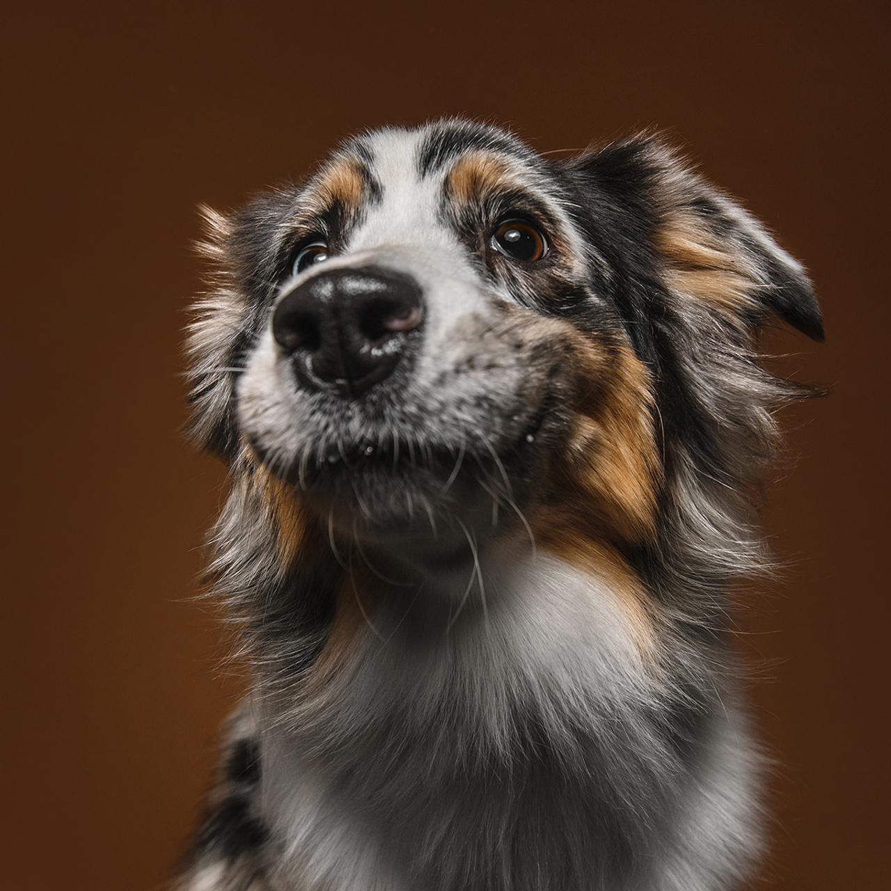 Фотодень в студии. Фотограф Анна Тюрина