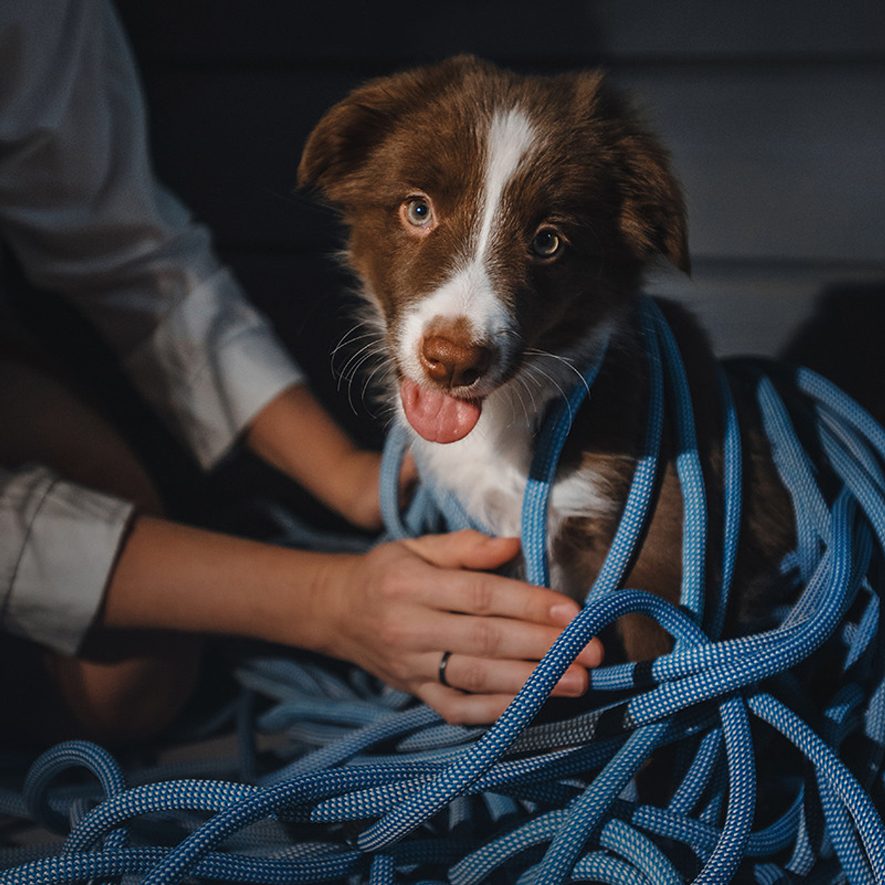 Ксюша, Максим и Рокки. Фотограф Анна Тюрина