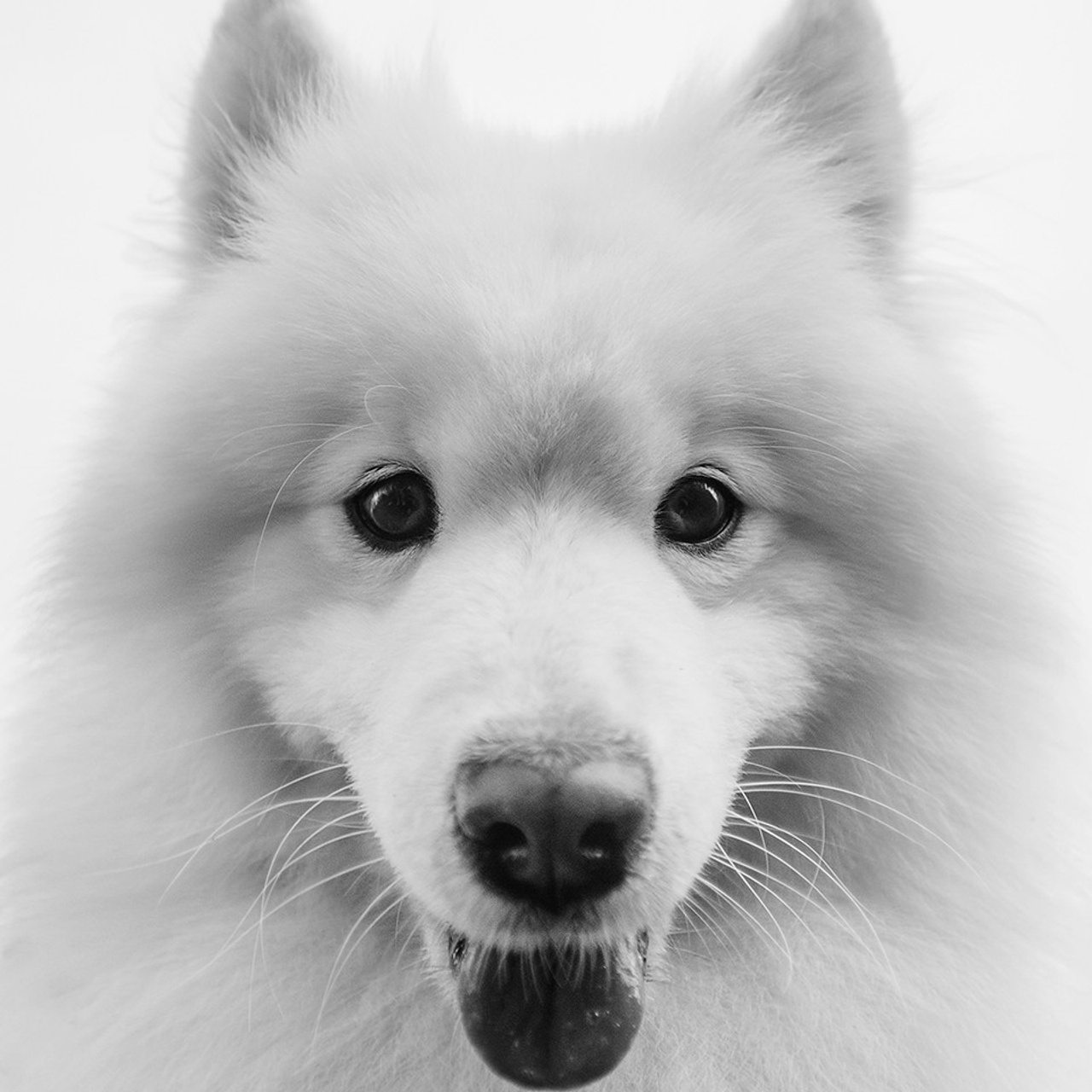 Елена и Эльза. Фотограф Анна Тюрина