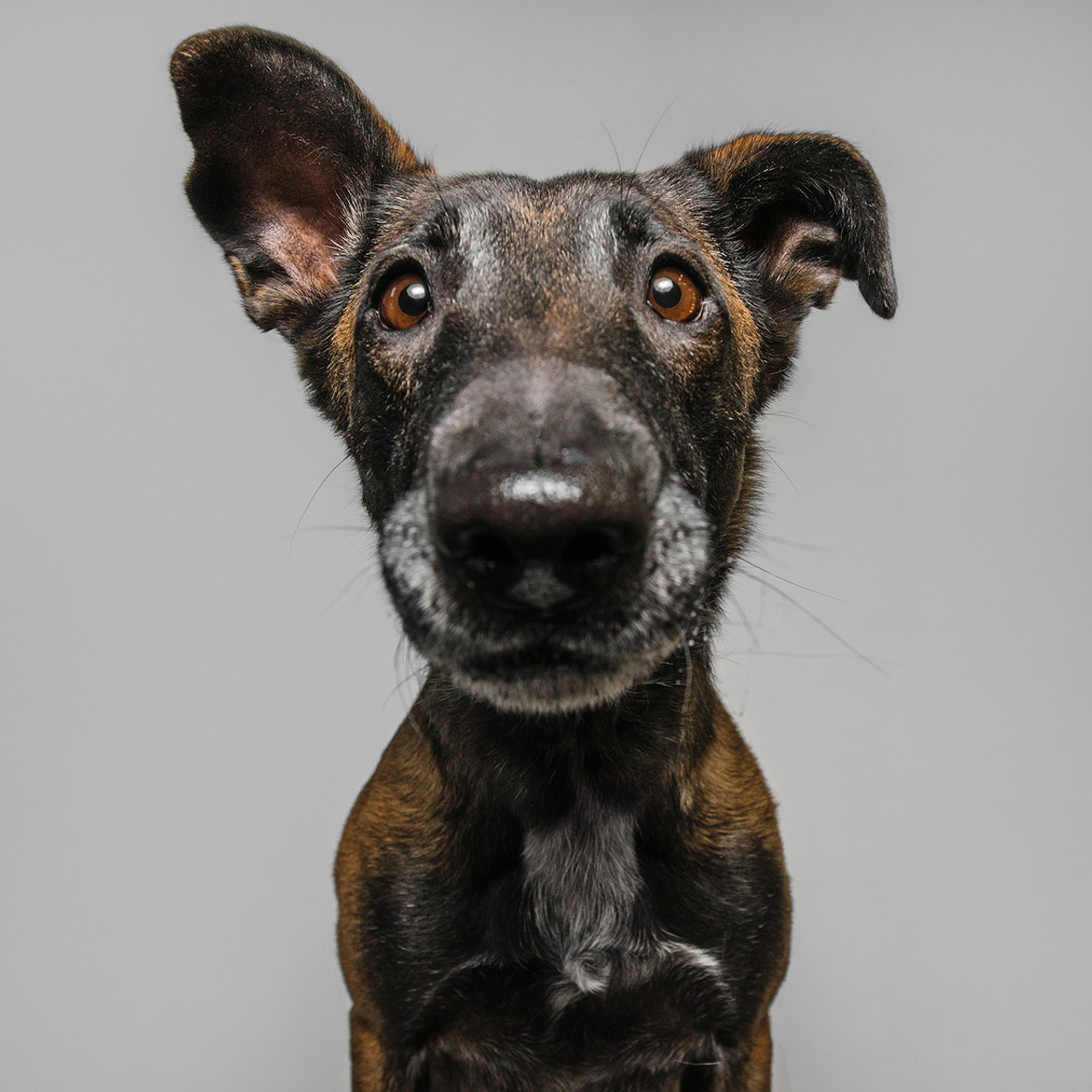 Фотодень в студии. Фотограф Анна Тюрина