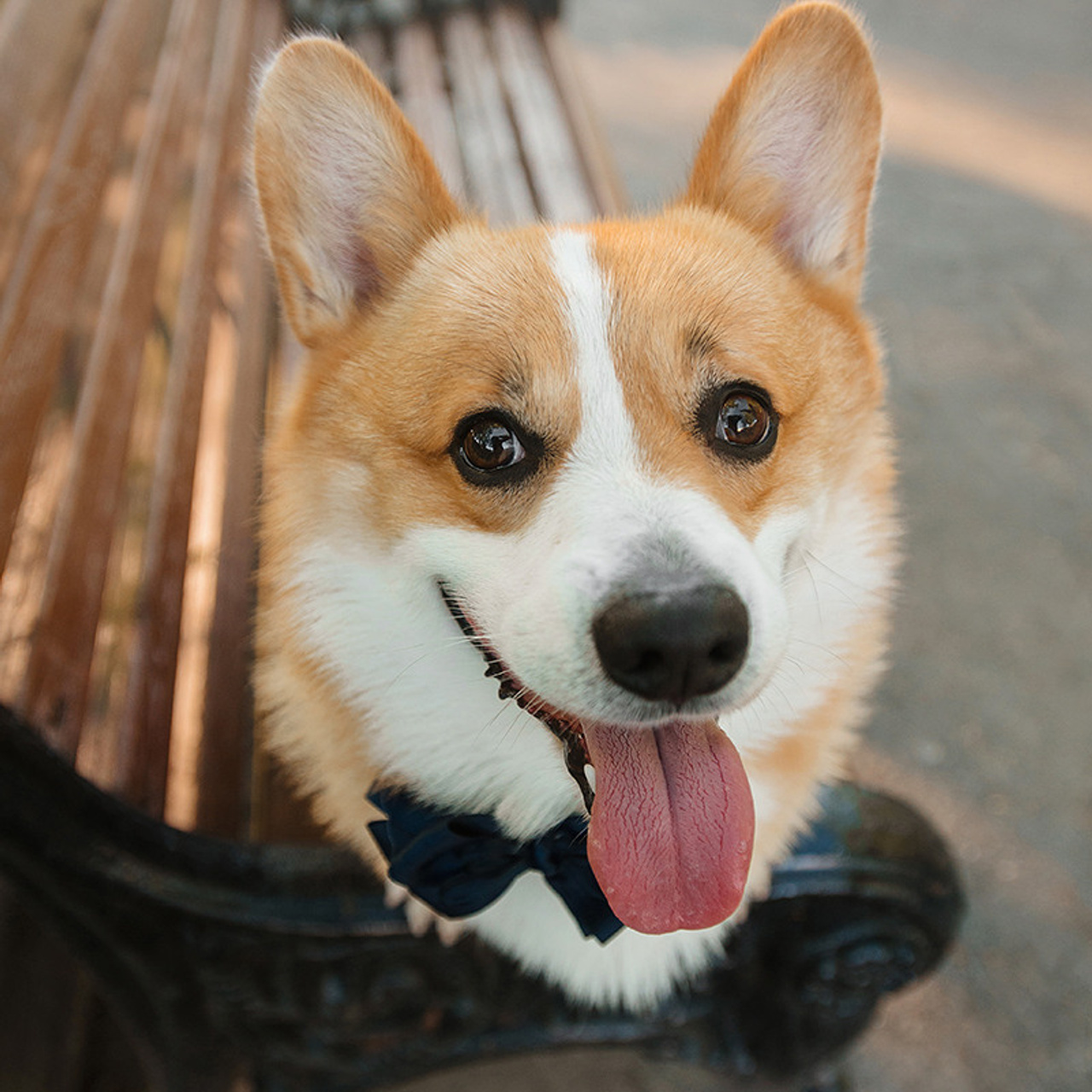 Тим, Ира и Тимур. Фотограф Анна Тюрина