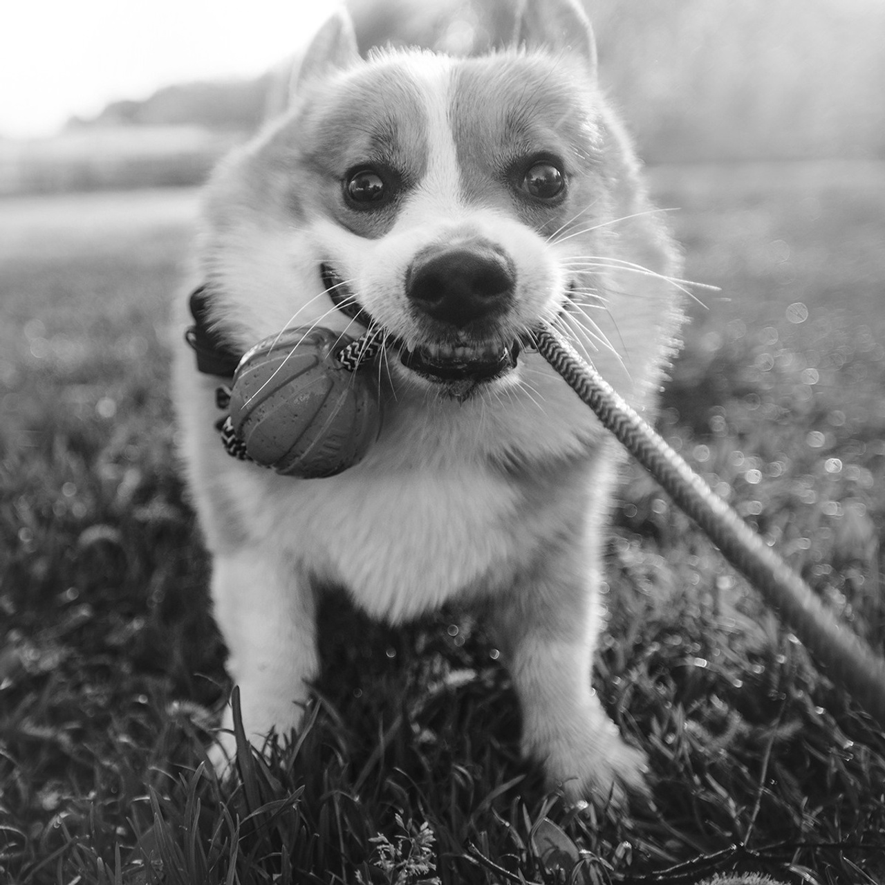 Тим, Ира и Тимур. Фотограф Анна Тюрина