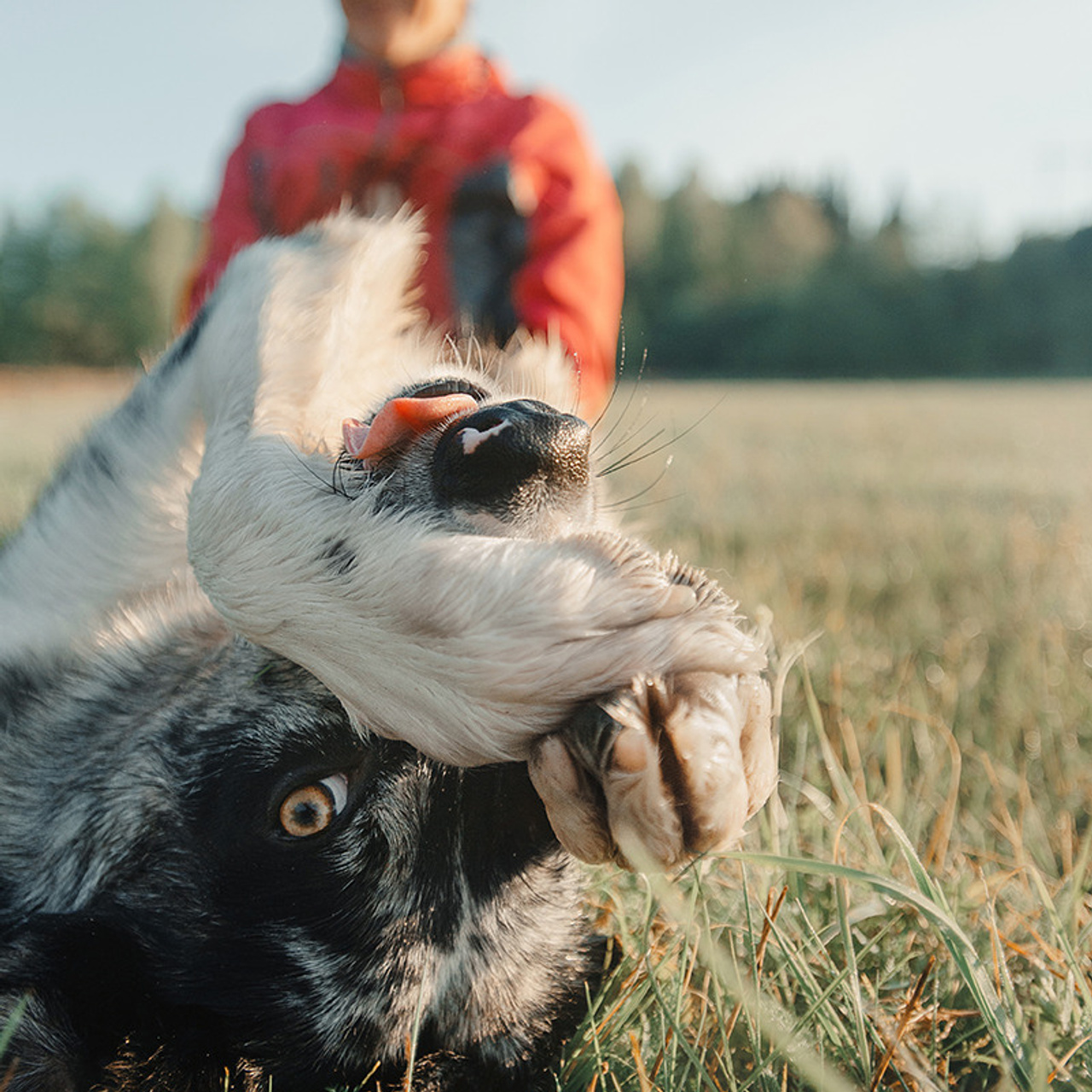 Наталья и Уран. Фотограф Анна Тюрина