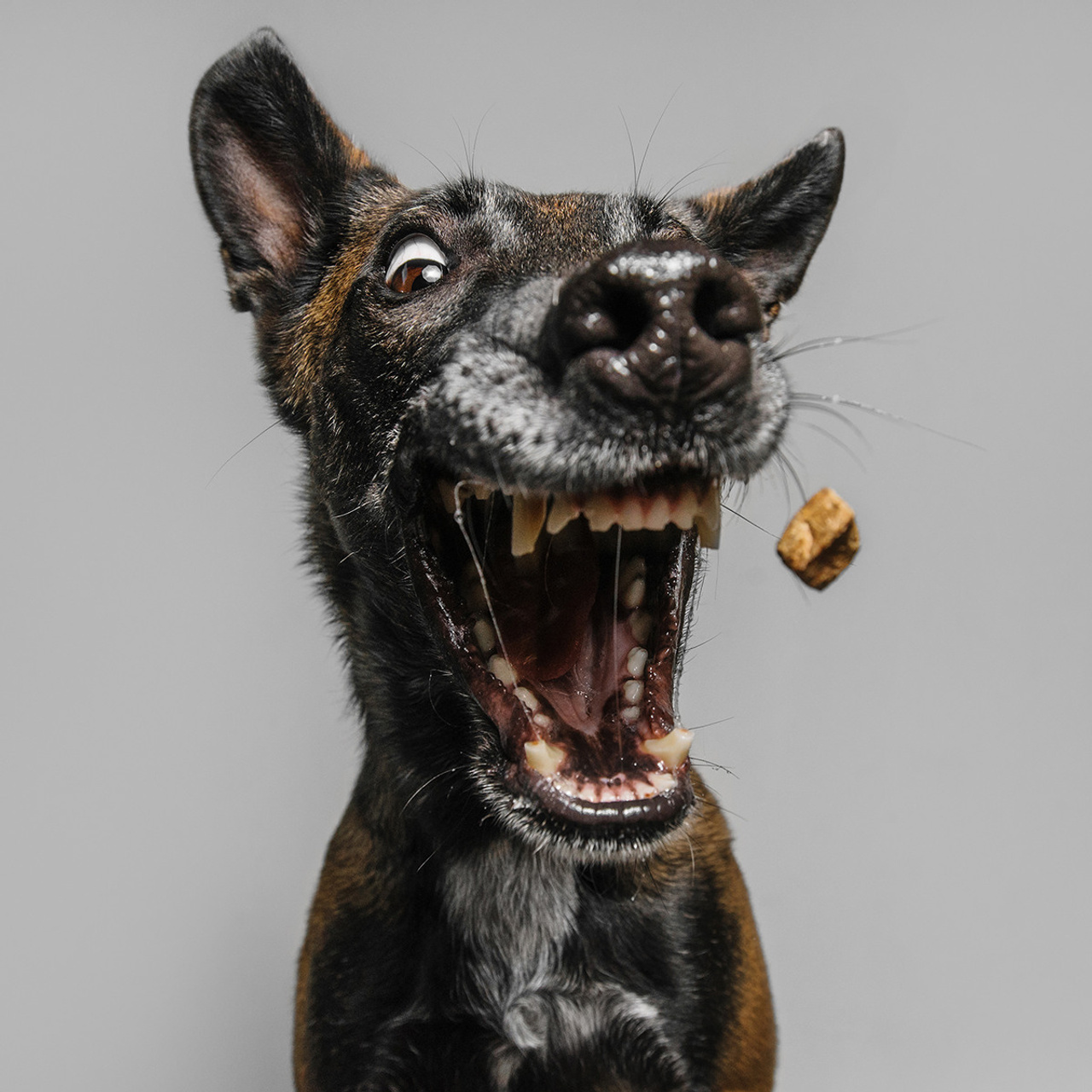 Фотодень в студии. Фотограф Анна Тюрина