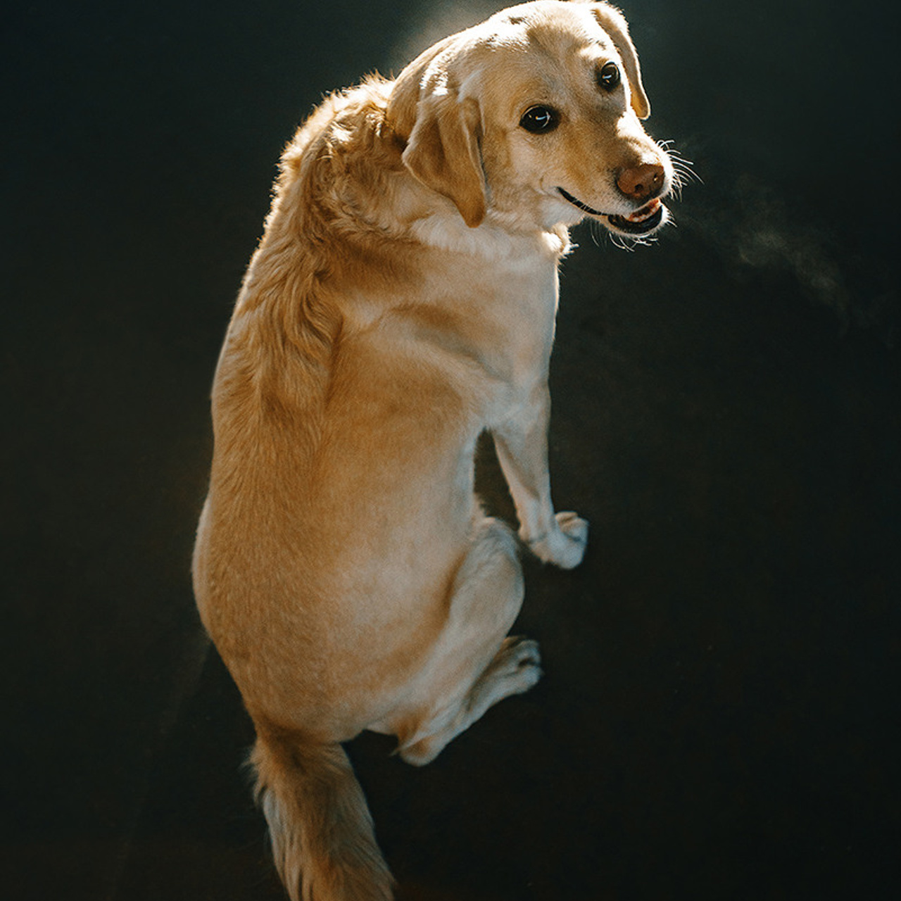 Катя и Фаня. Фотограф Анна Тюрина