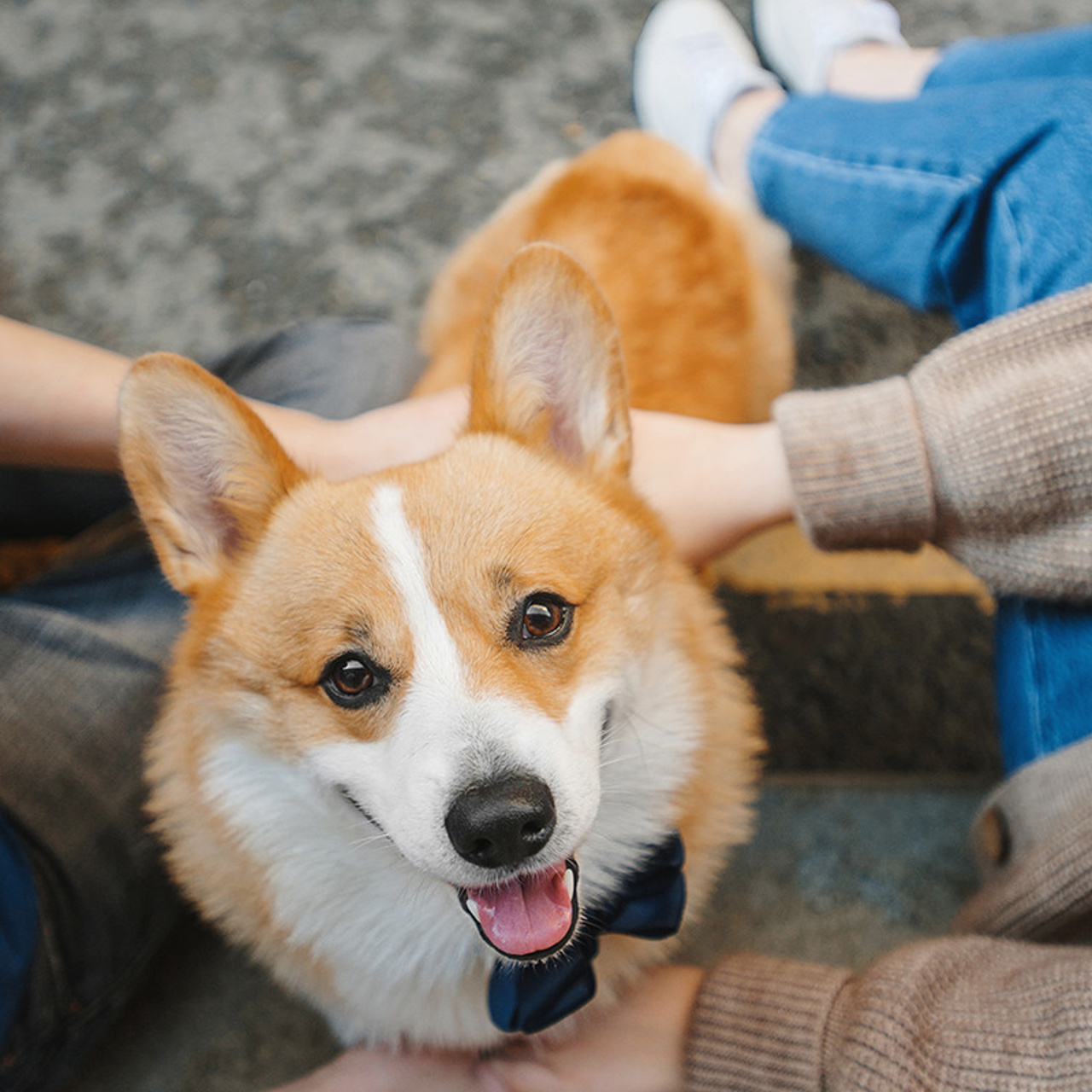 Тим, Ира и Тимур. Фотограф Анна Тюрина