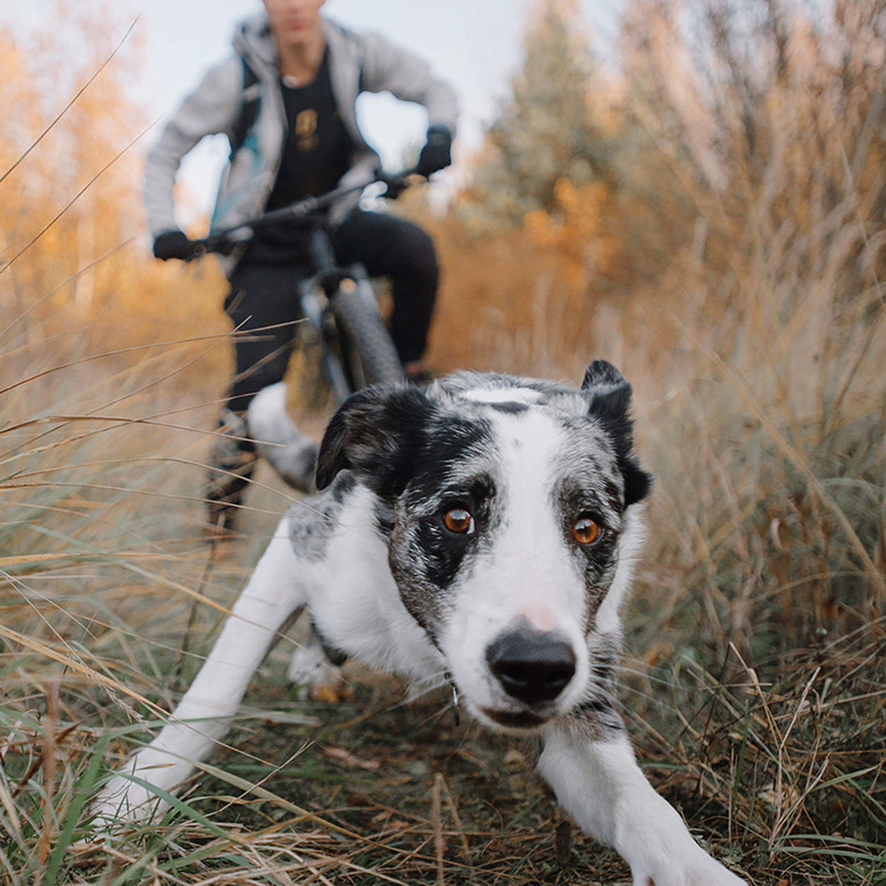 Сева и Кит. Фотограф Анна Тюрина