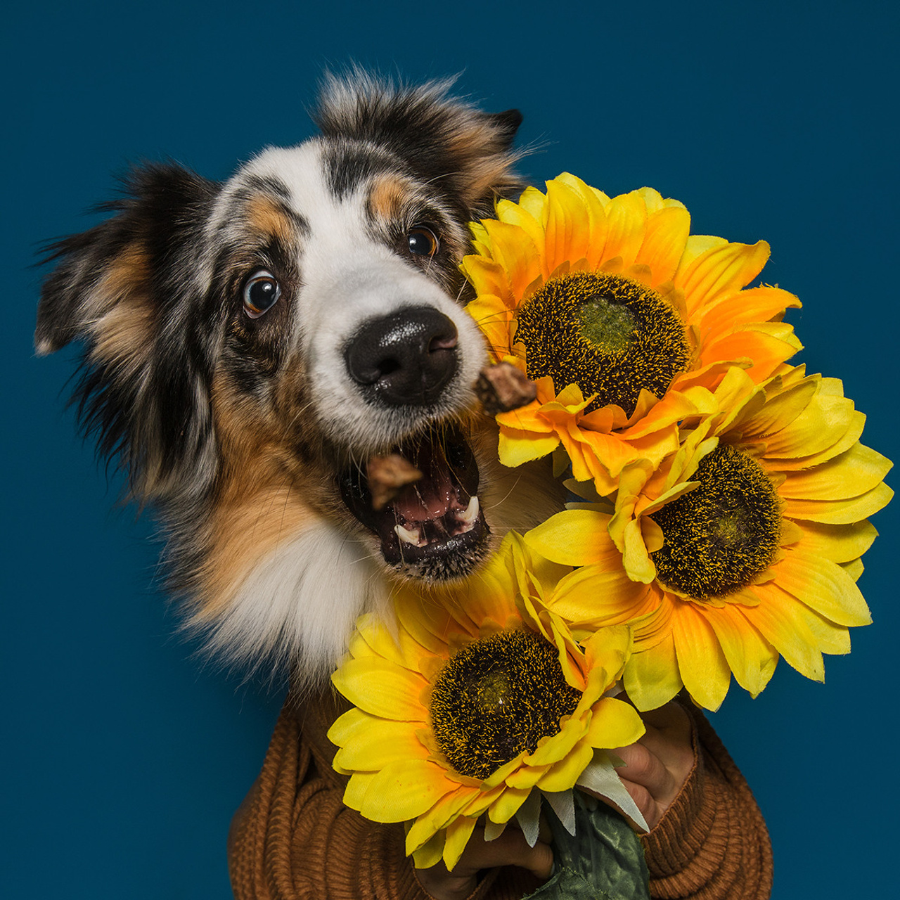Фотодень в студии. Фотограф Анна Тюрина