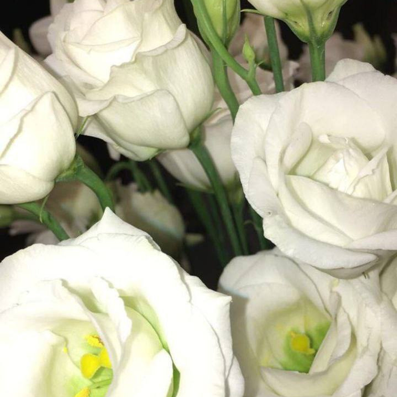 Отзывы. Свадебный фотограф Бажаева Оксана