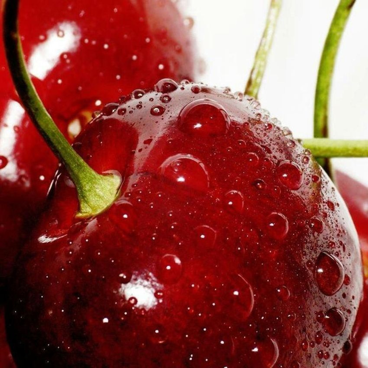 Googledonatebot отзывы