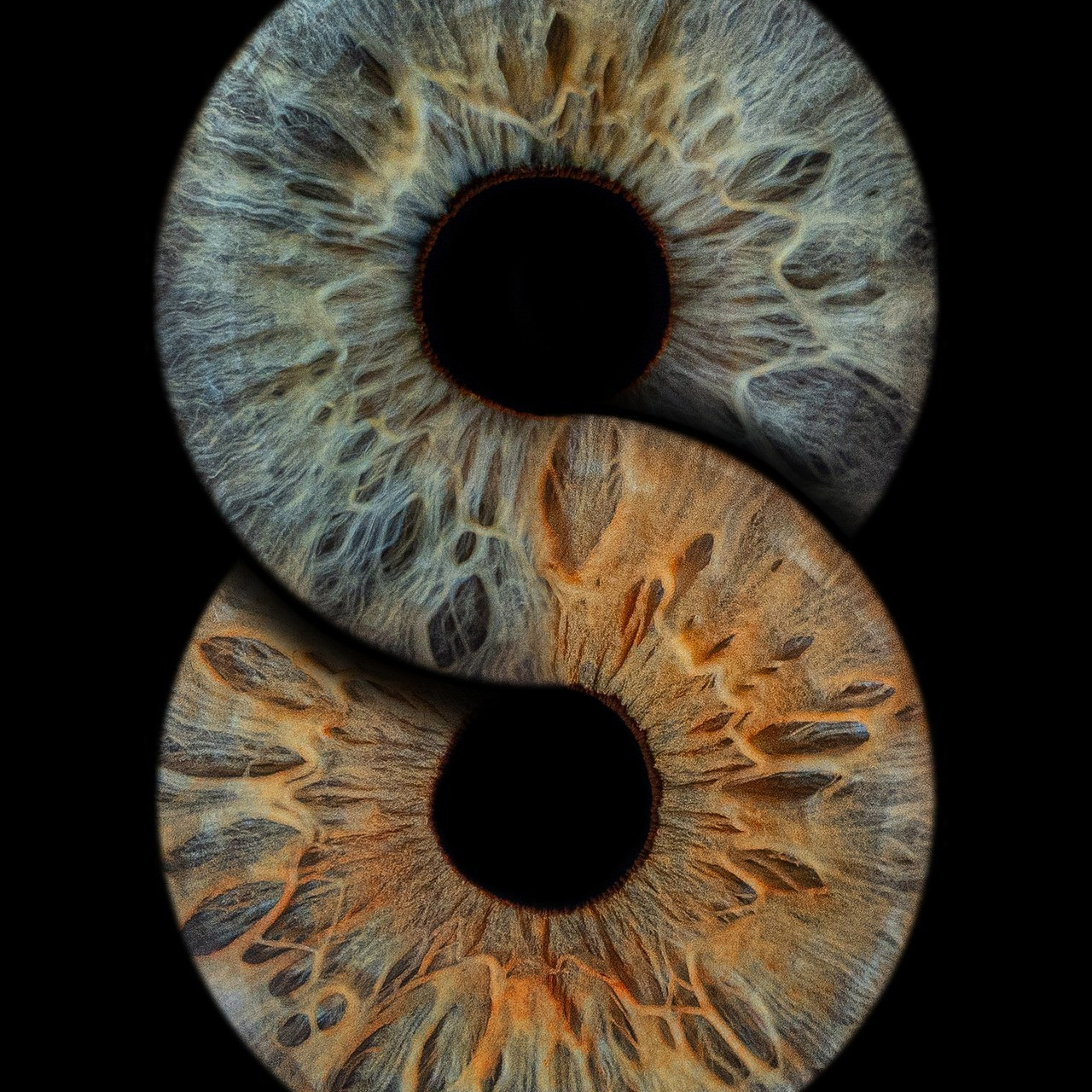 Отзывы. Мой глаз