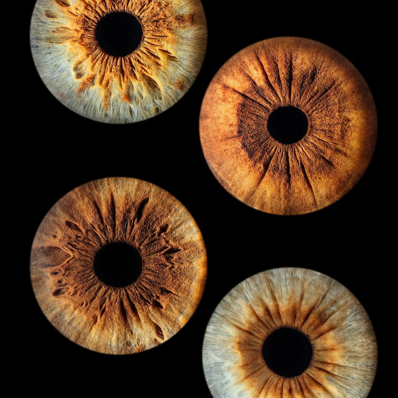 Отзывы. Мой глаз