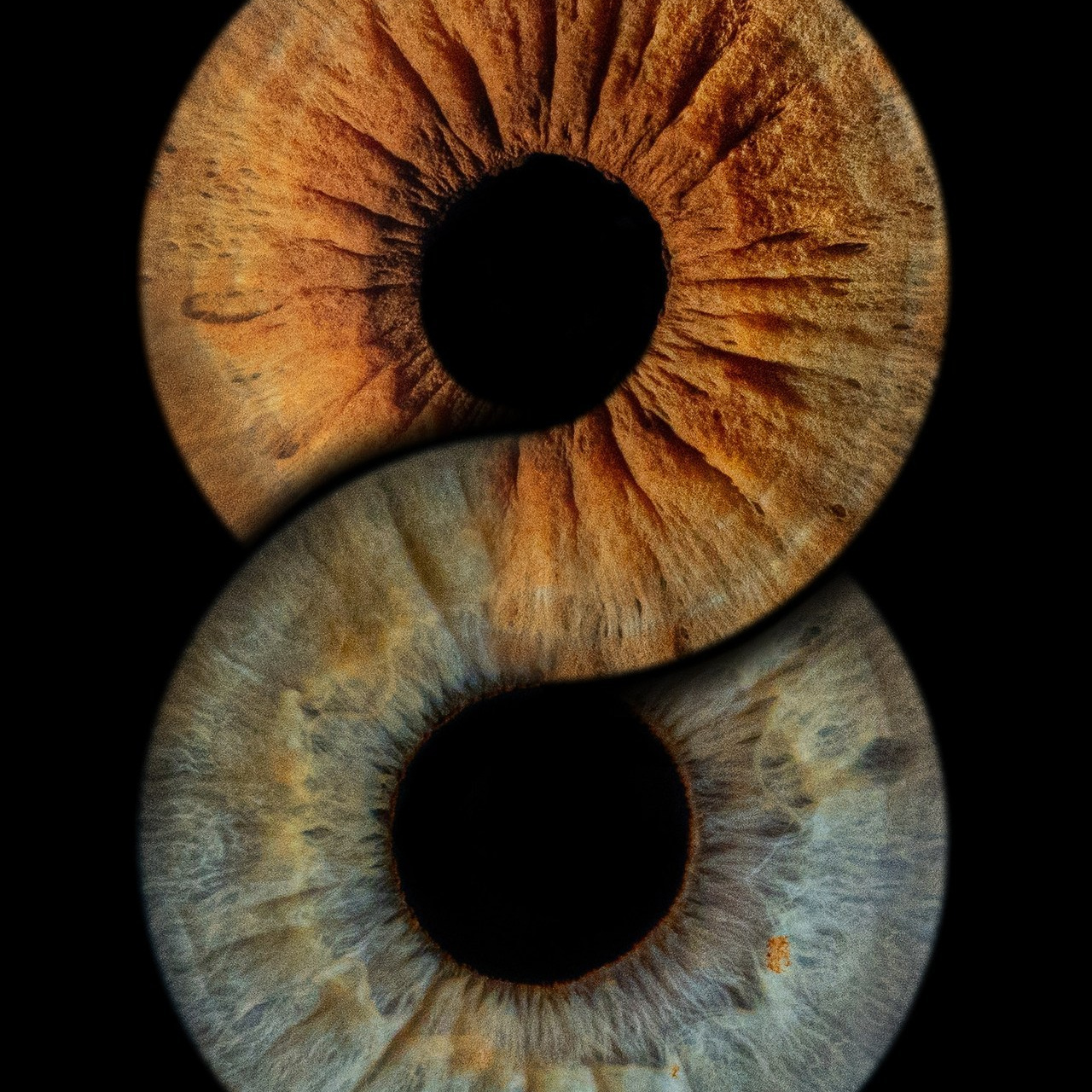 Отзывы. Мой глаз