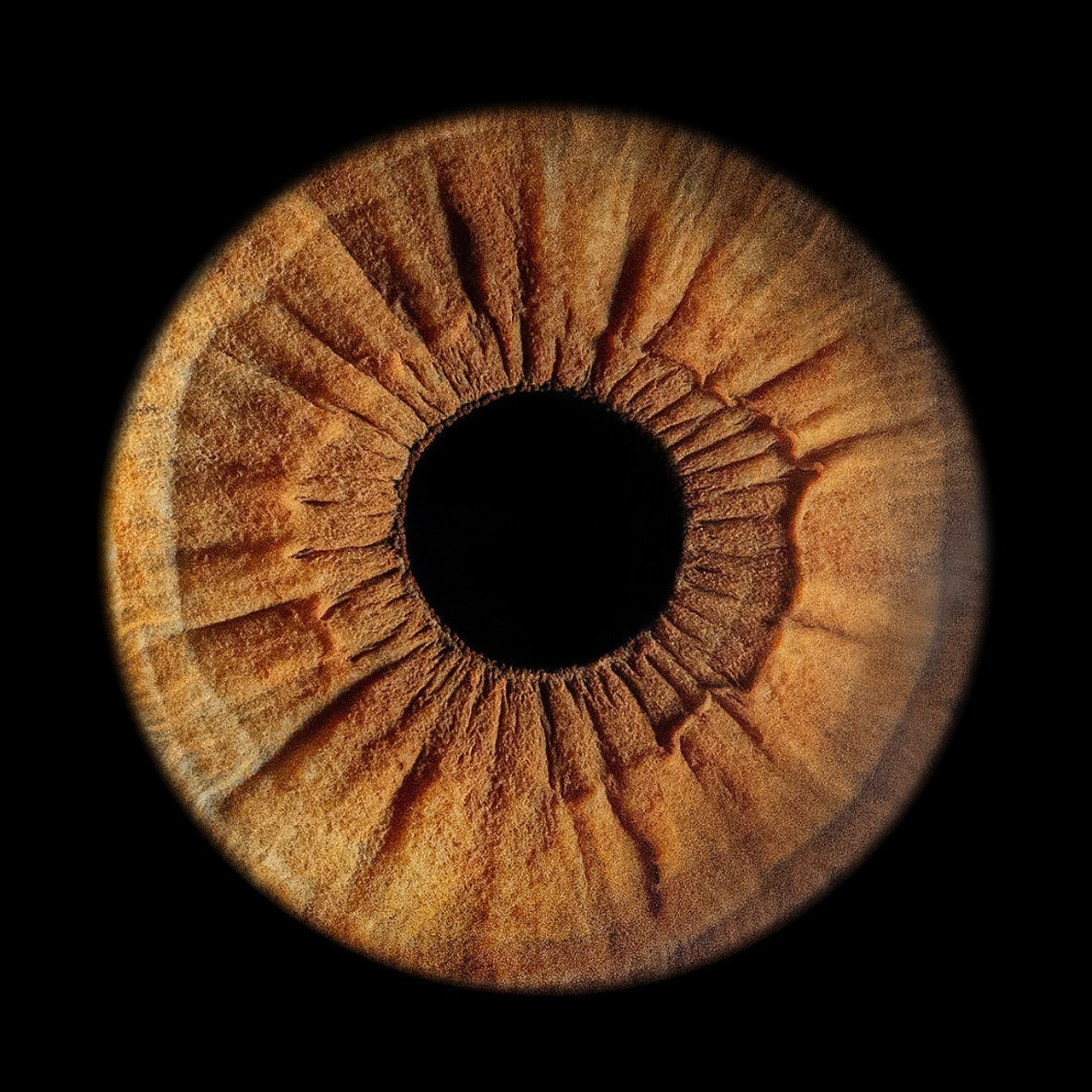 Отзывы. Мой глаз