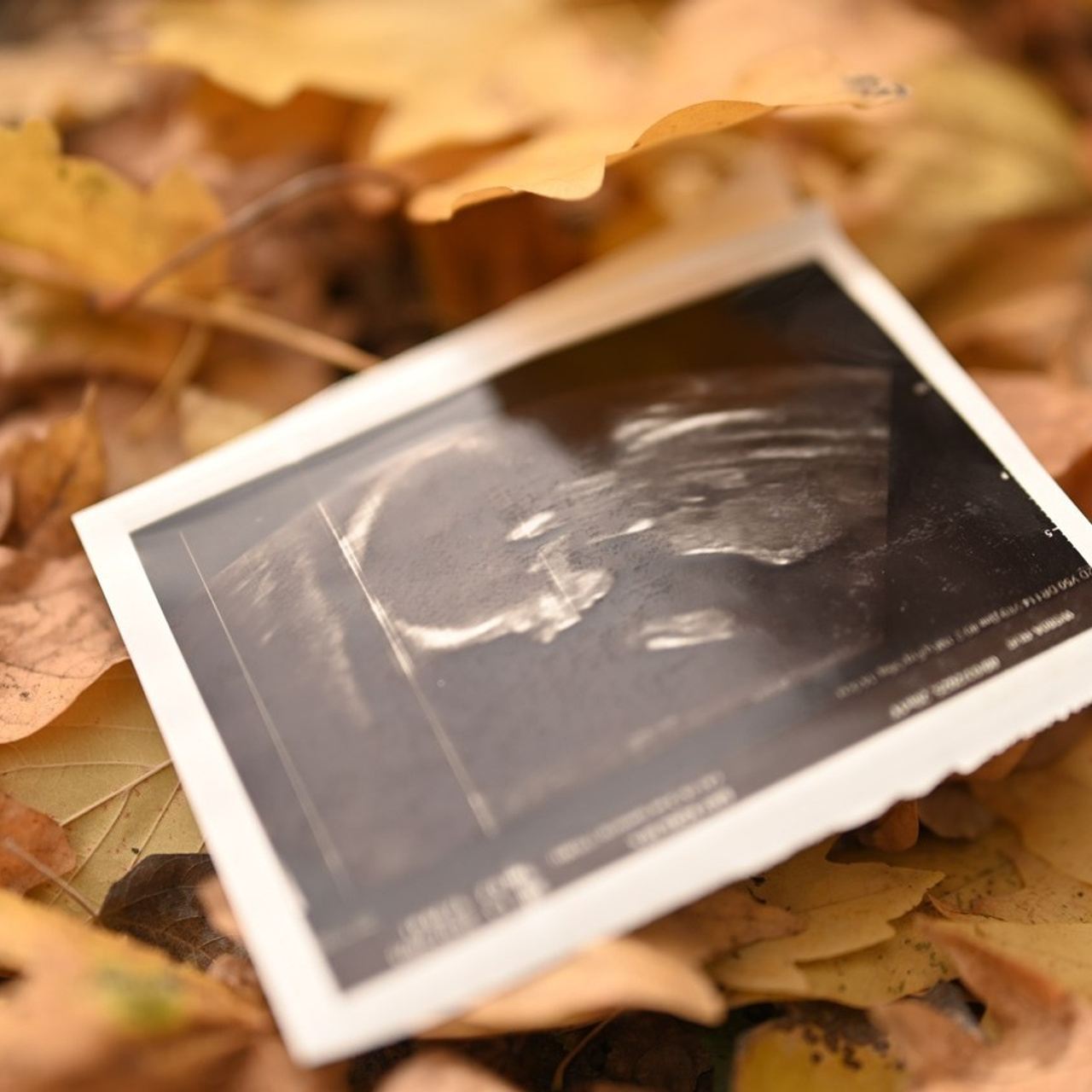 Отзывы. Губина Юлия