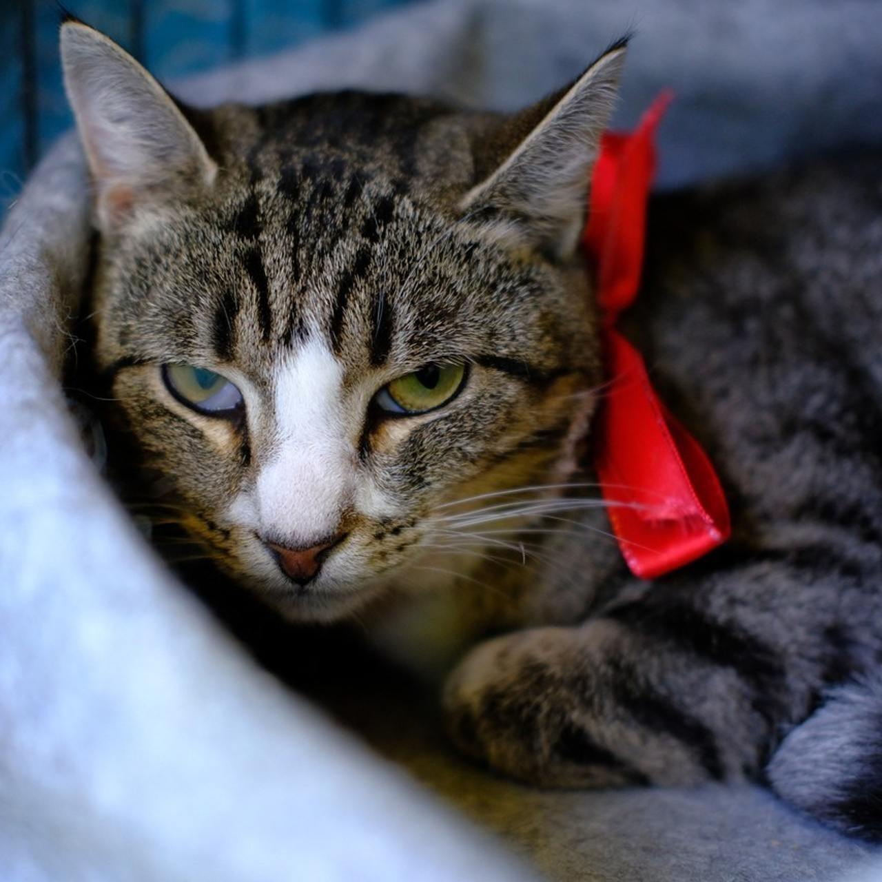 Отзывы. Портретный и семейный фотограф в СПб Марья Туранова