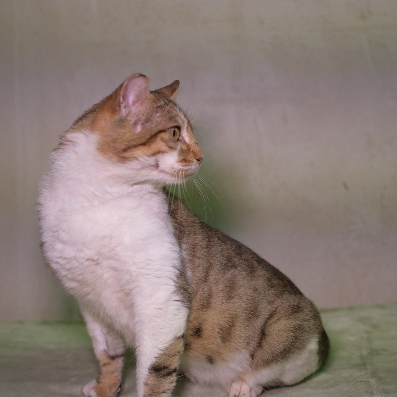 Отзывы. Портретный и семейный фотограф в СПб Марья Туранова