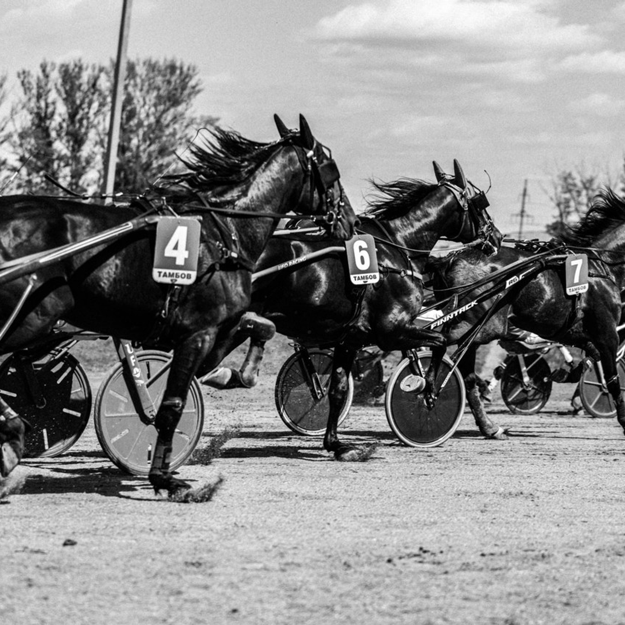 Отзывы. Фотограф г. Тамбов г. Воронеж Богдан Тарасов