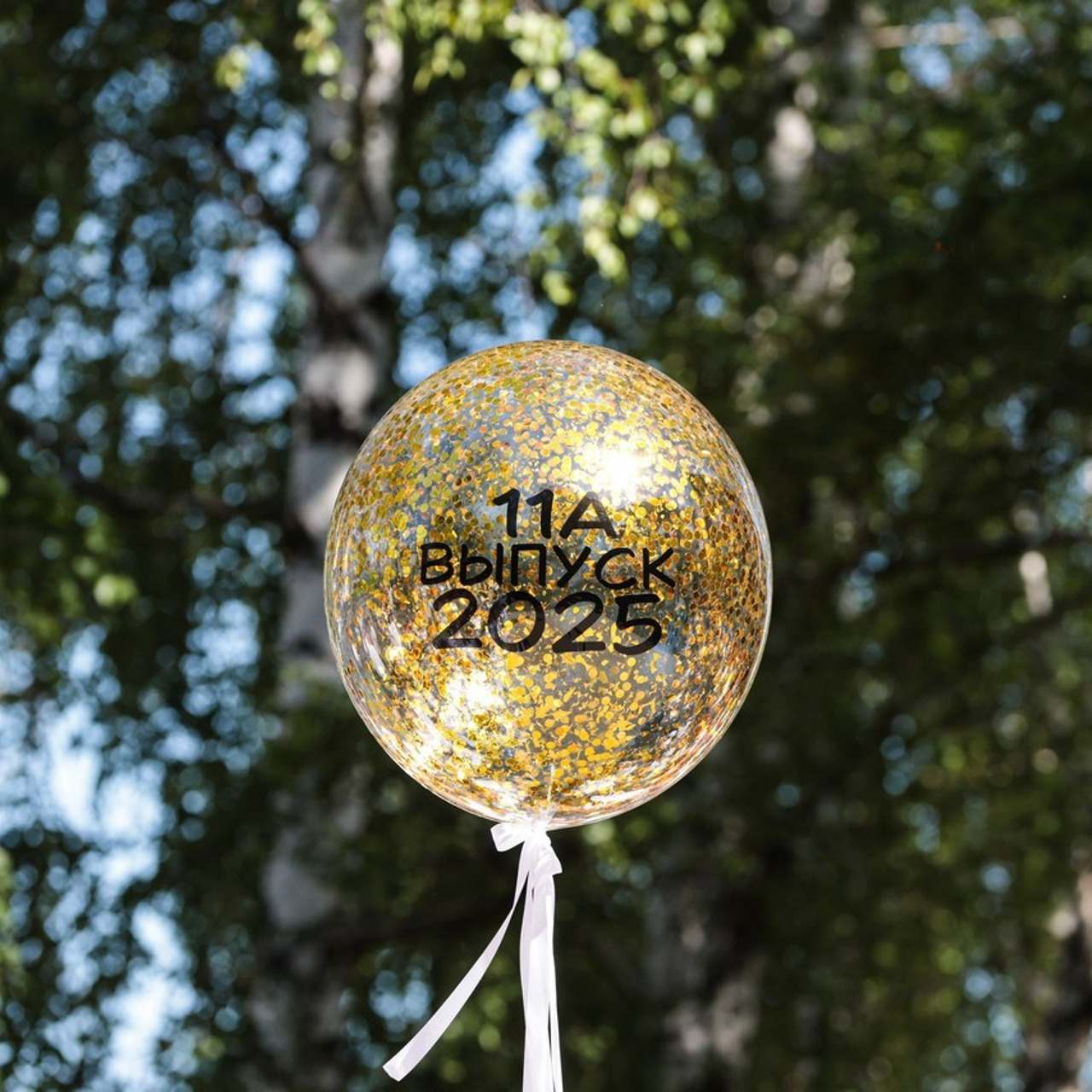 Отзывы. Фотограф г. Тамбов г. Воронеж Богдан Тарасов