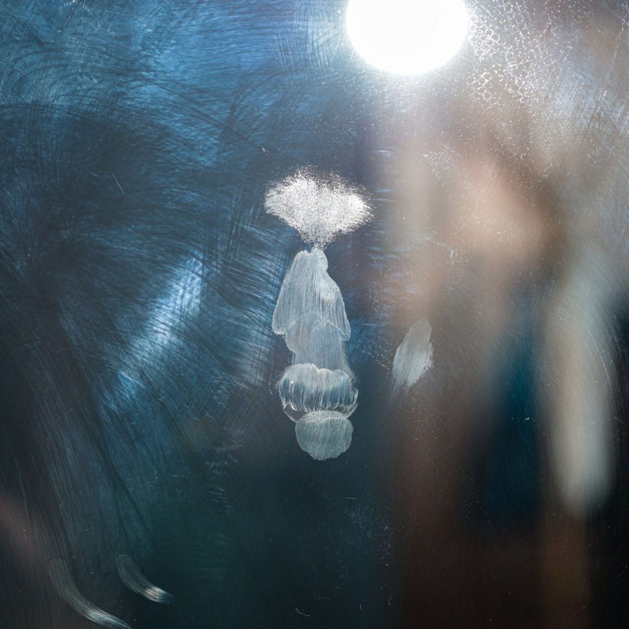 Отзывы. Фотограф г. Тамбов г. Воронеж Богдан Тарасов