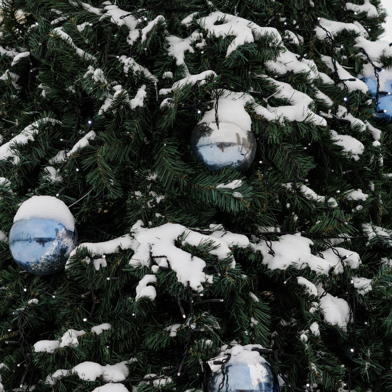 Отзывы. Фотограф г. Тамбов г. Воронеж Богдан Тарасов